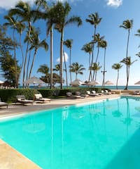 a pool with umbrellas and palm trees