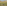 Spotted goat with bell walking across vibrant green, rocky hillside overlooking the sea.
