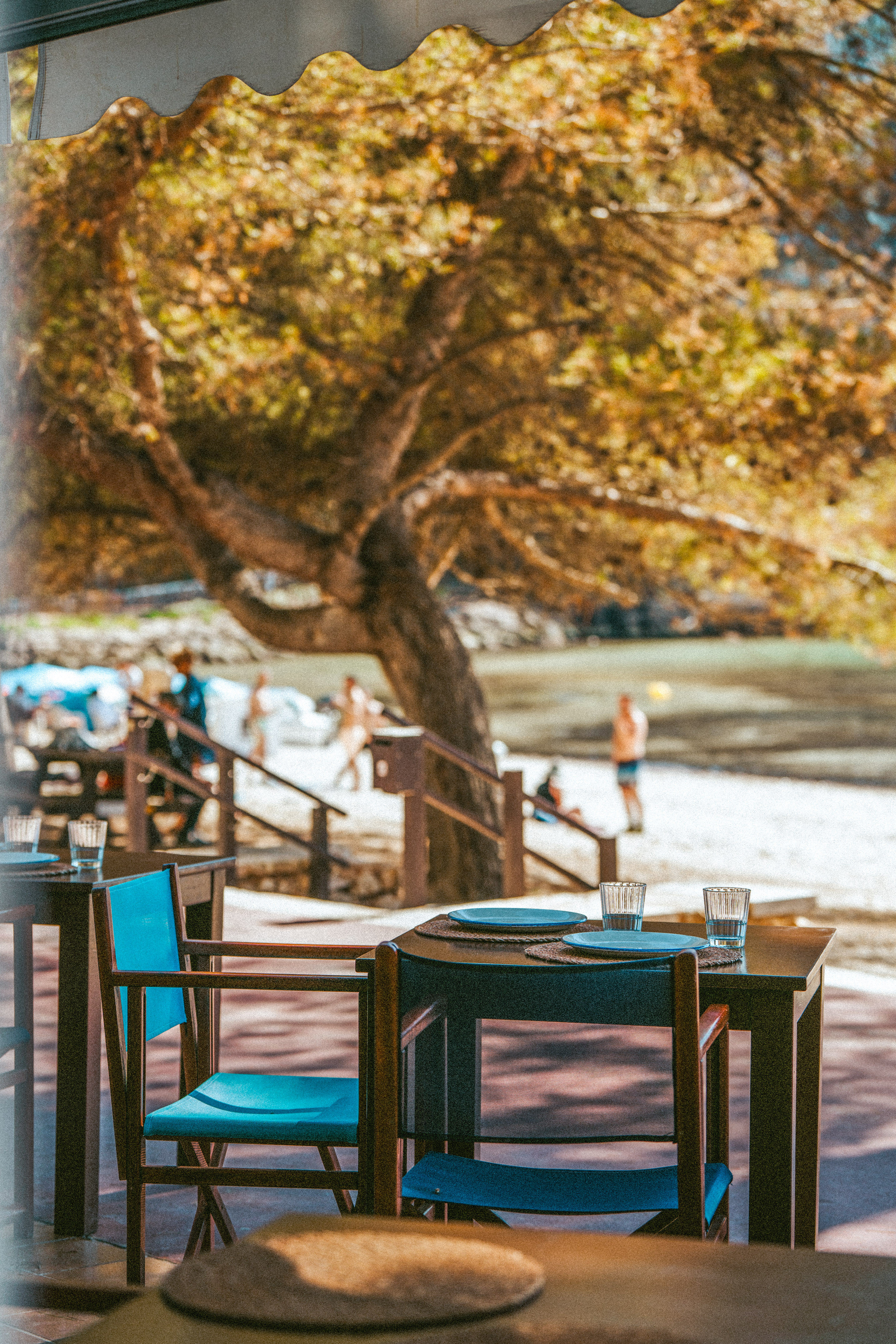 Tables and blue chairs at a beach restaurant overlooking a sunny shore.