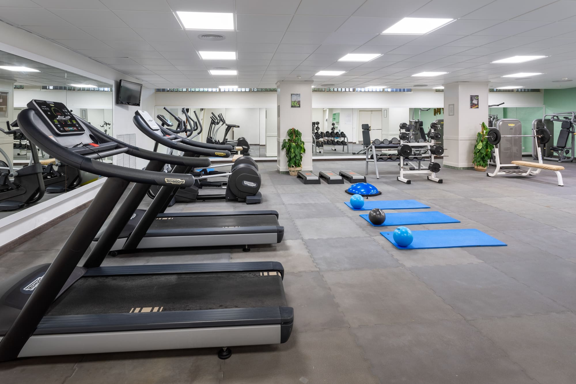 Well-lit gym with treadmills, free weights, cardio machines, and yoga mats.