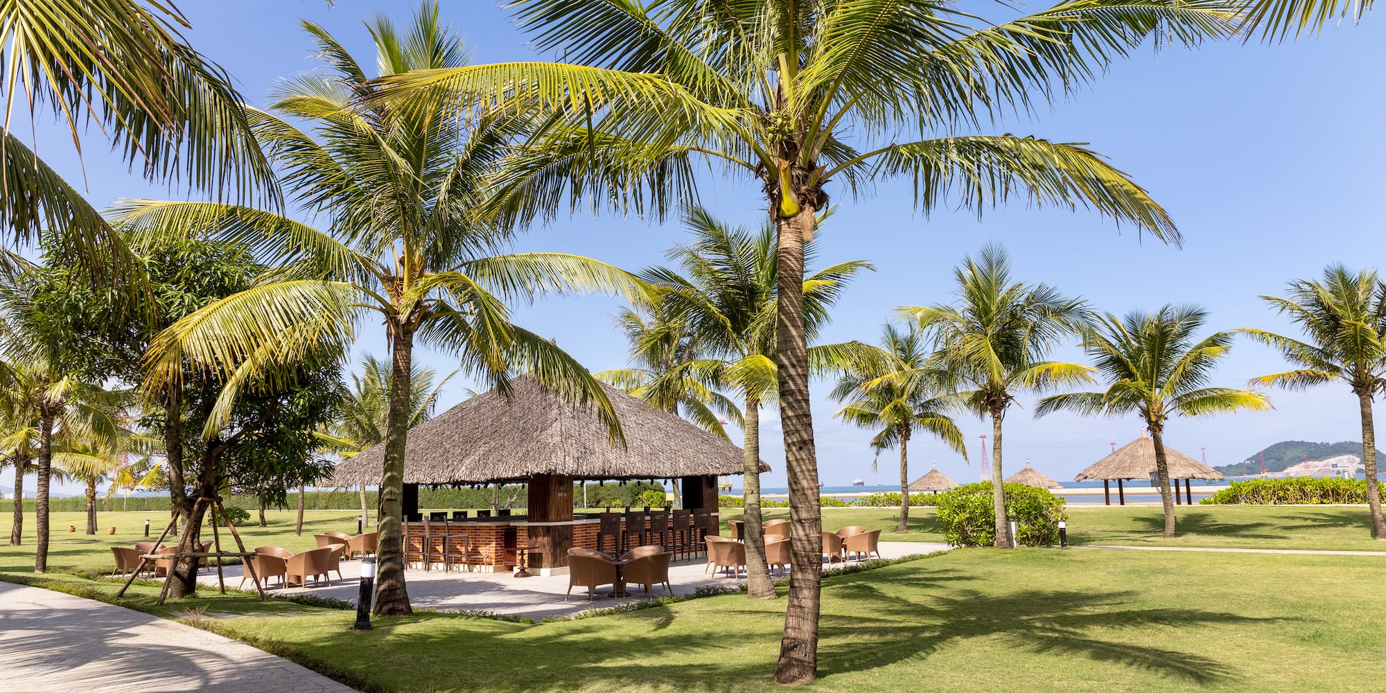 a group of palm trees next to a building