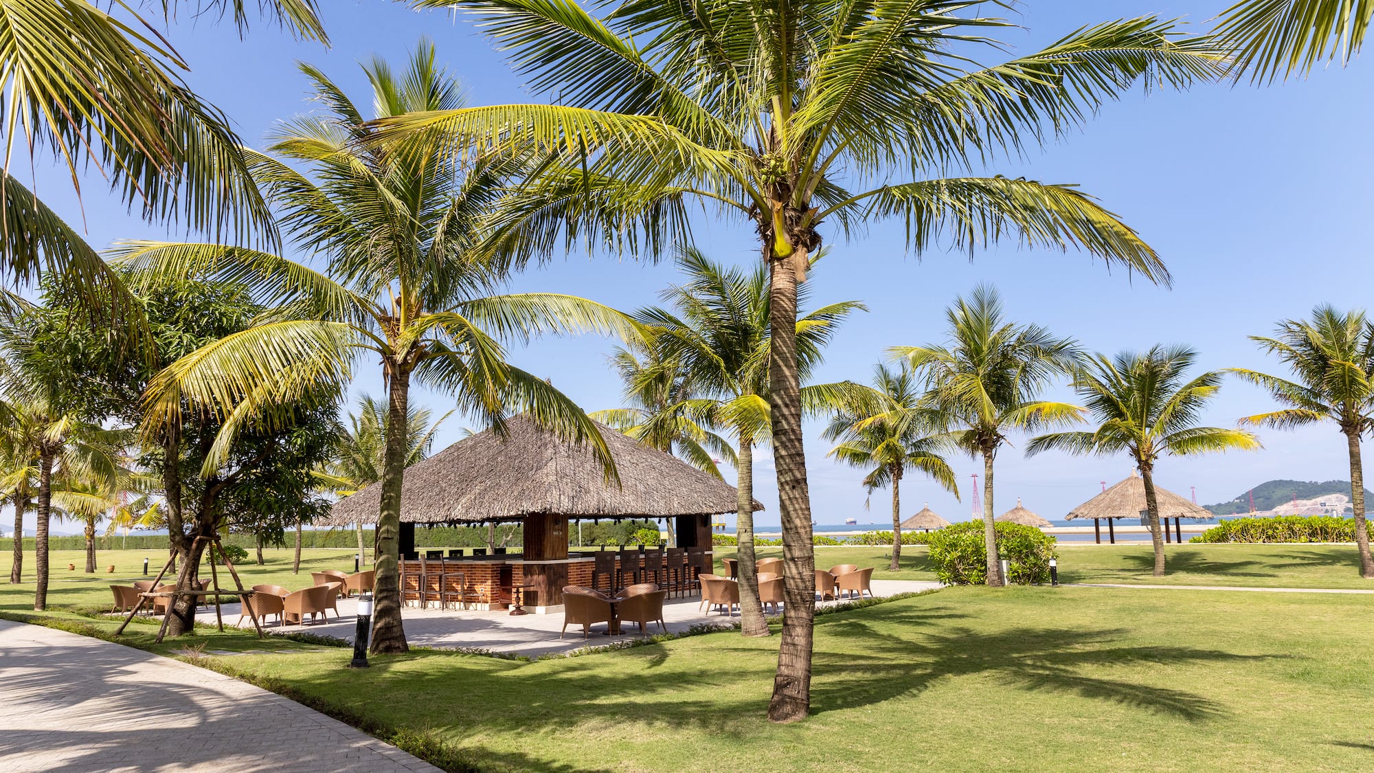 a group of palm trees next to a building