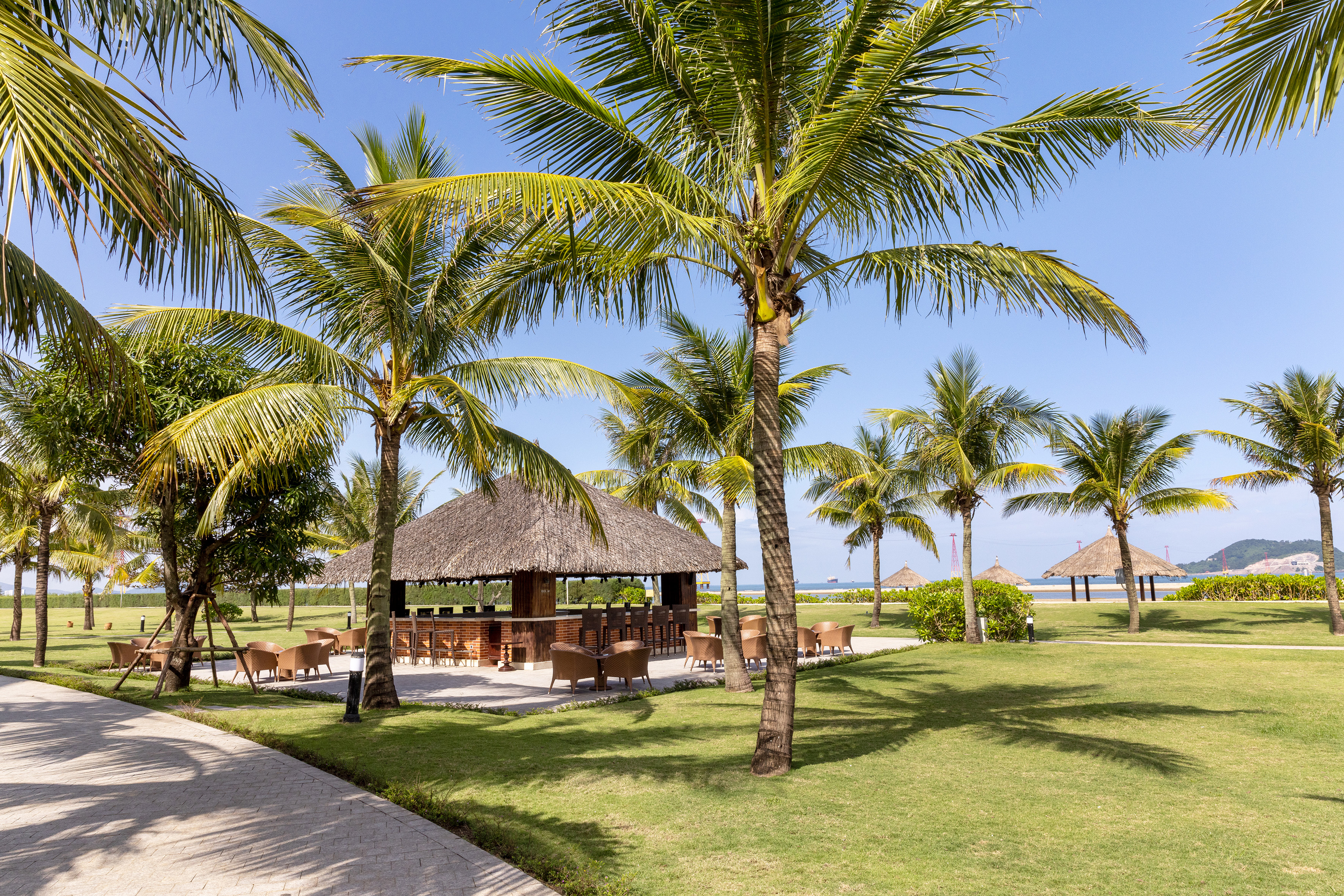 a group of palm trees next to a building