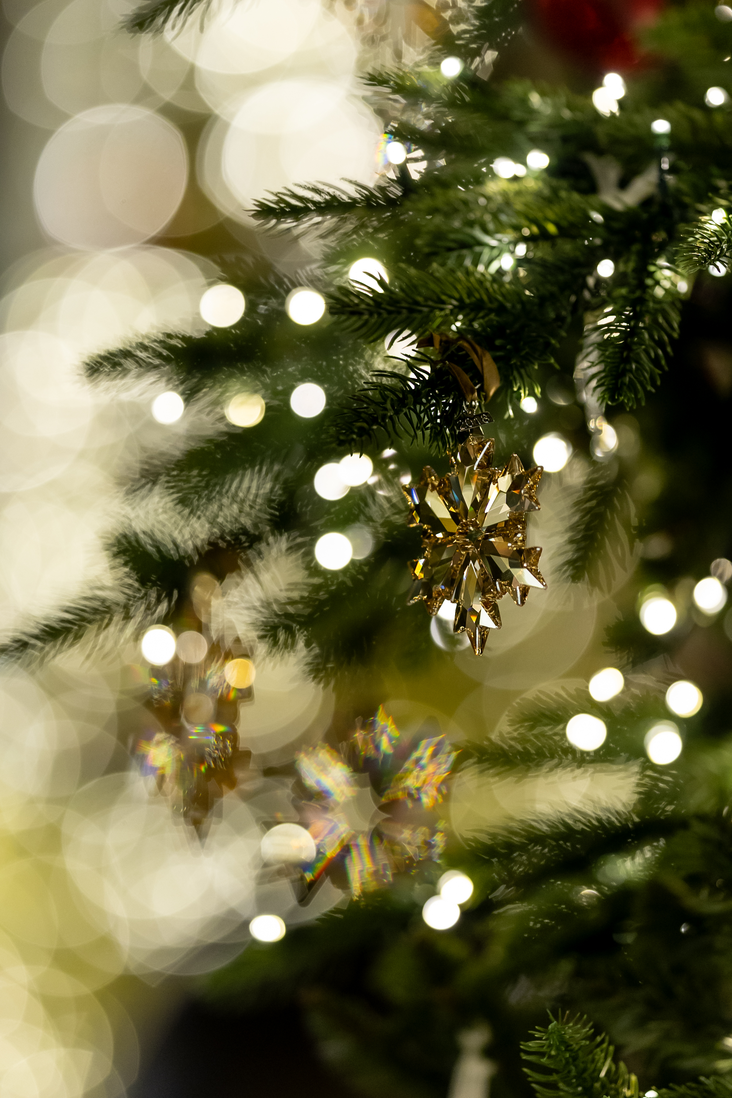 a tree with ornaments and lights