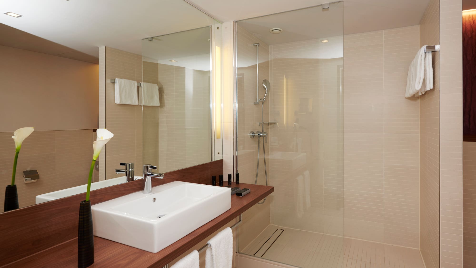 Modern hotel bathroom with white sink, wood vanity, mirror, and glass shower.