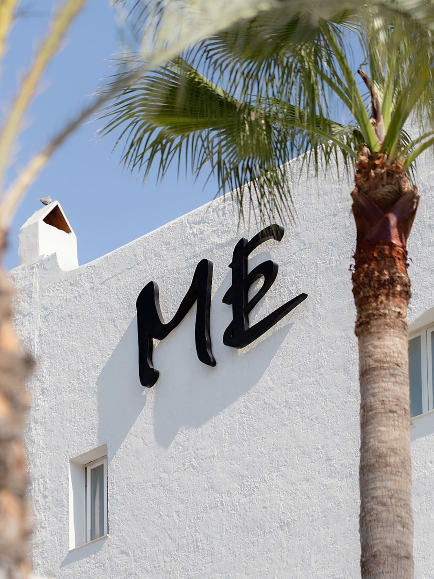 a building with palm trees