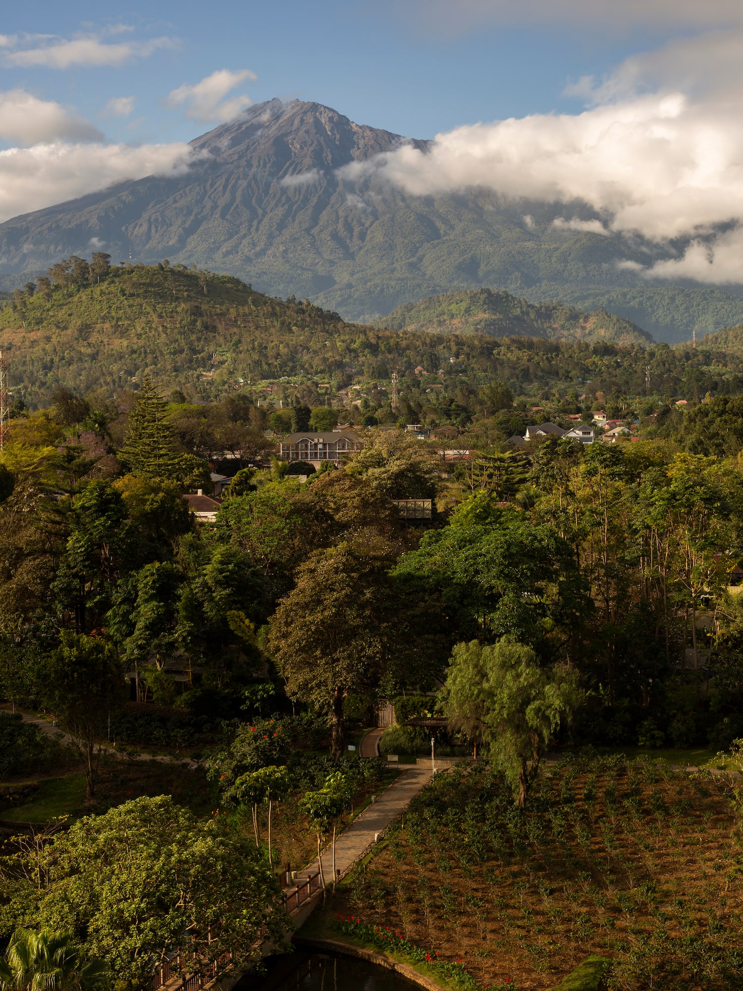 a landscape with a mountain in the background