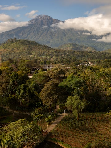a landscape with a mountain in the background