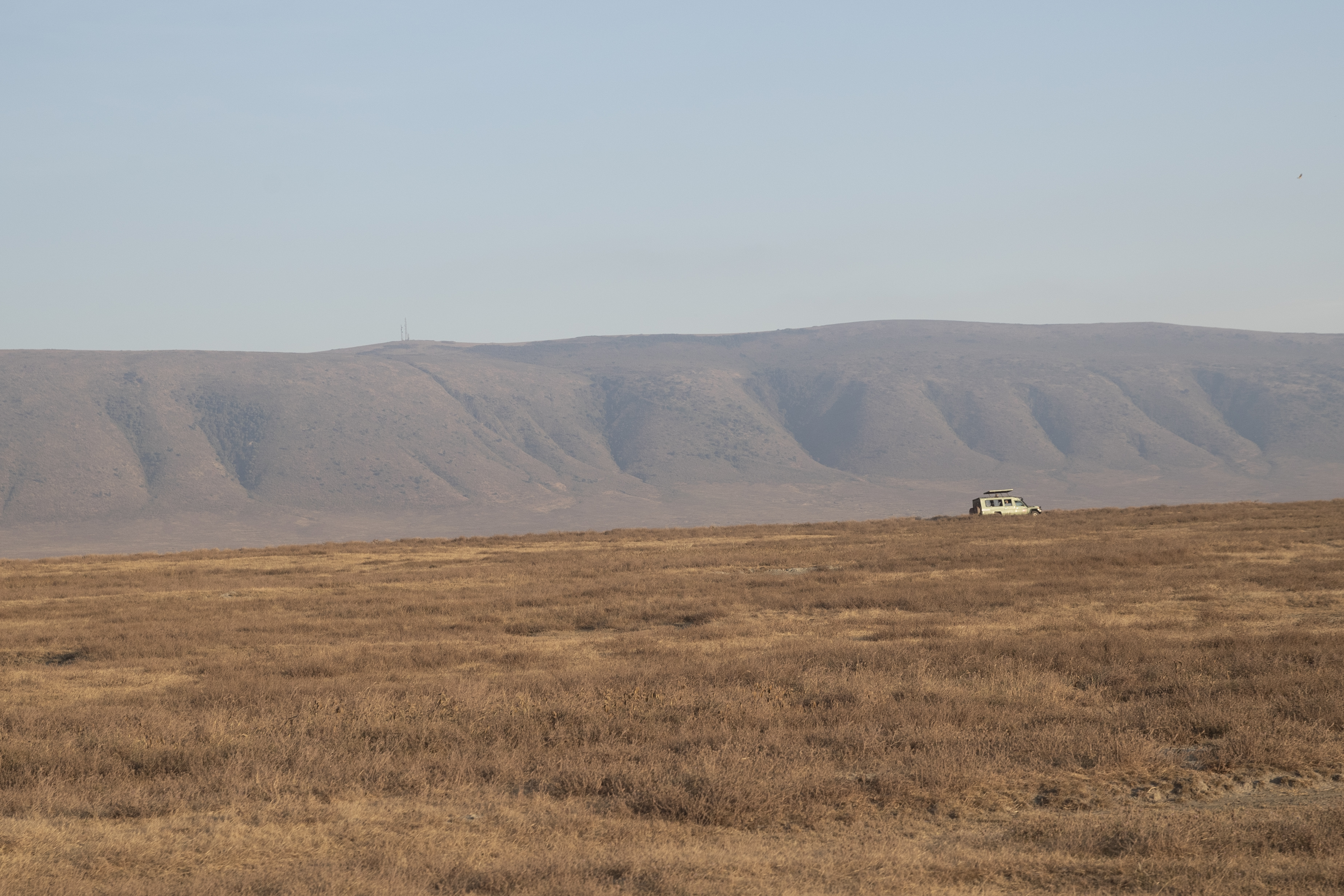 a car in a field with mountains in the background
