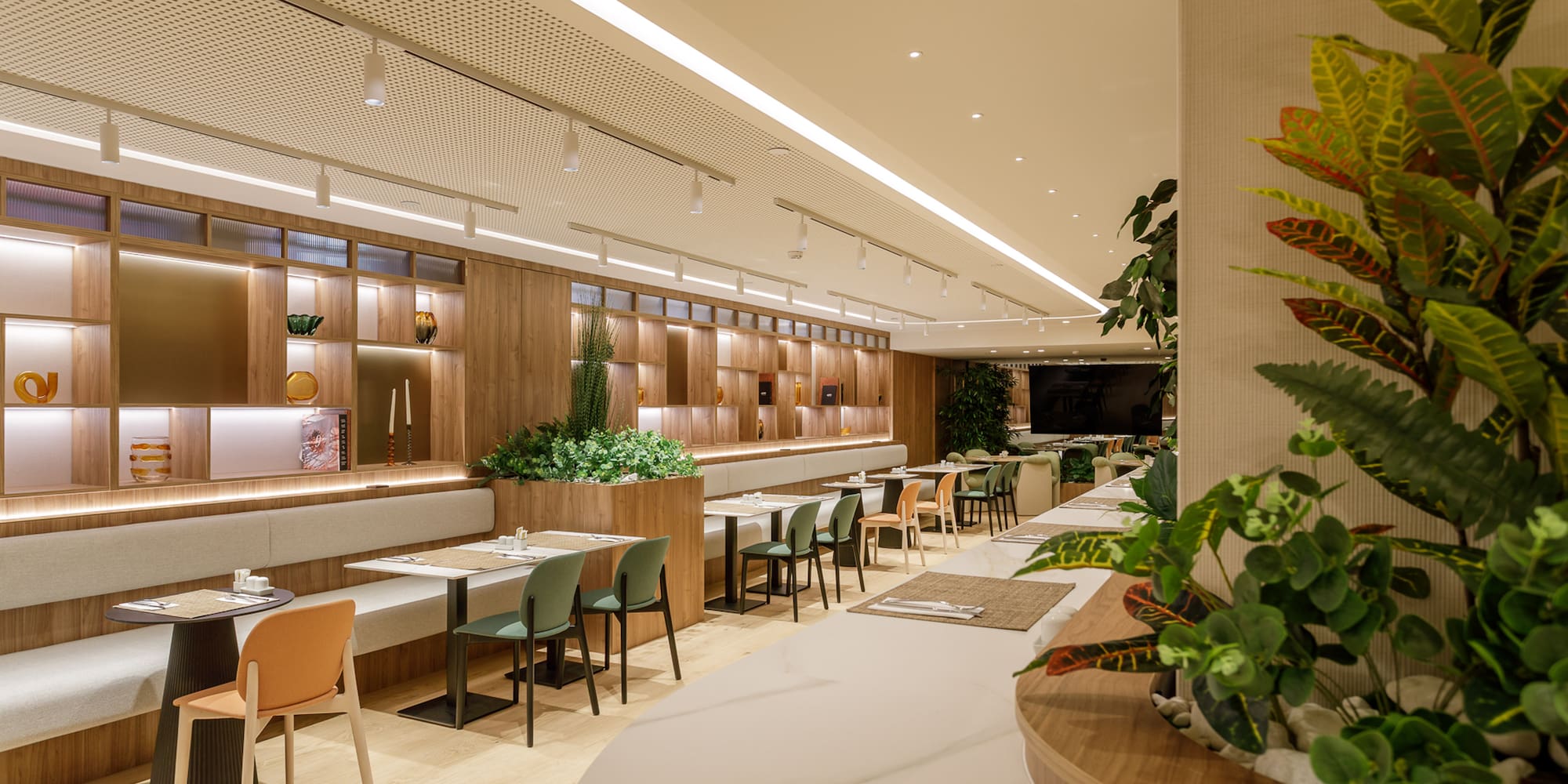 Bright modern restaurant with wooden walls, green plants, and booth seating.
