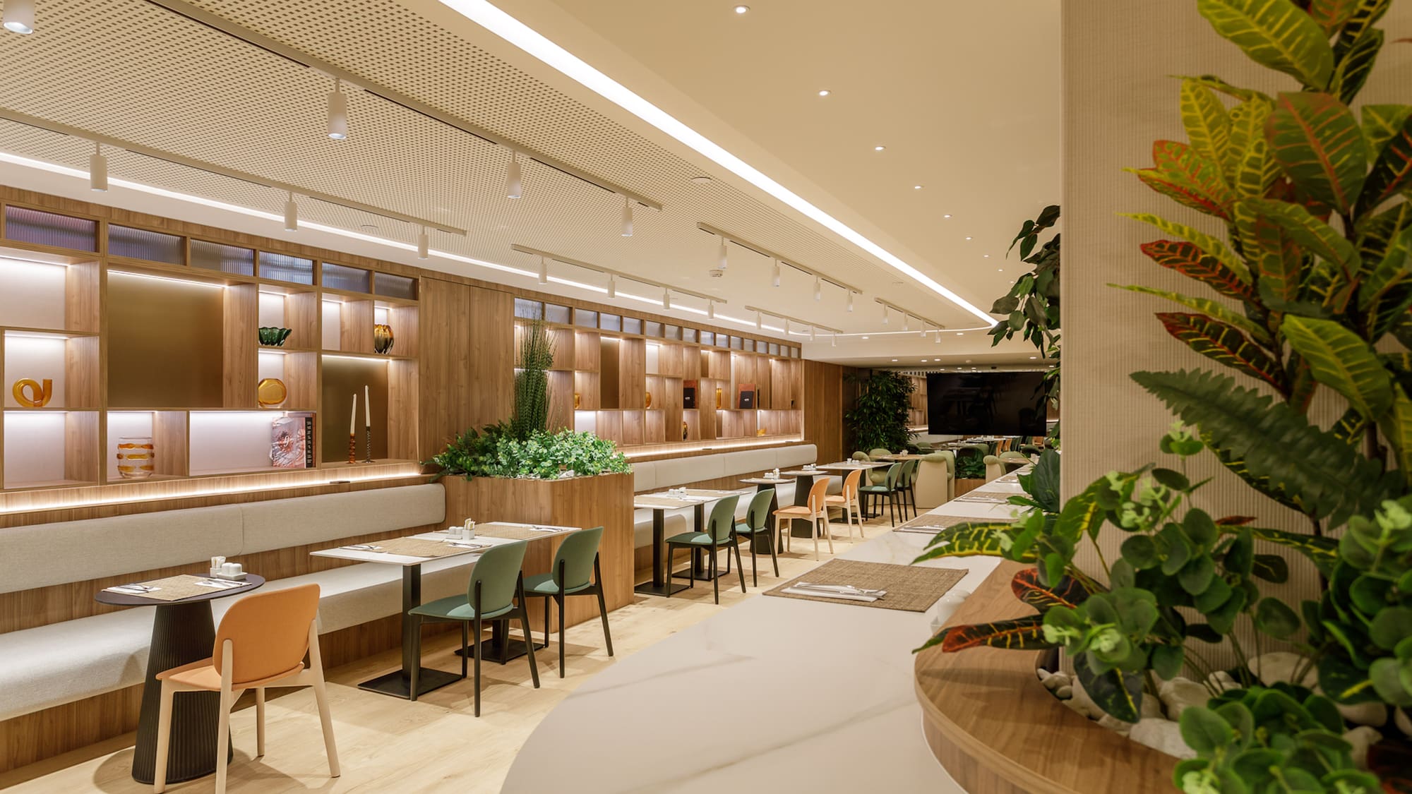 Bright modern restaurant with wooden walls, green plants, and booth seating.