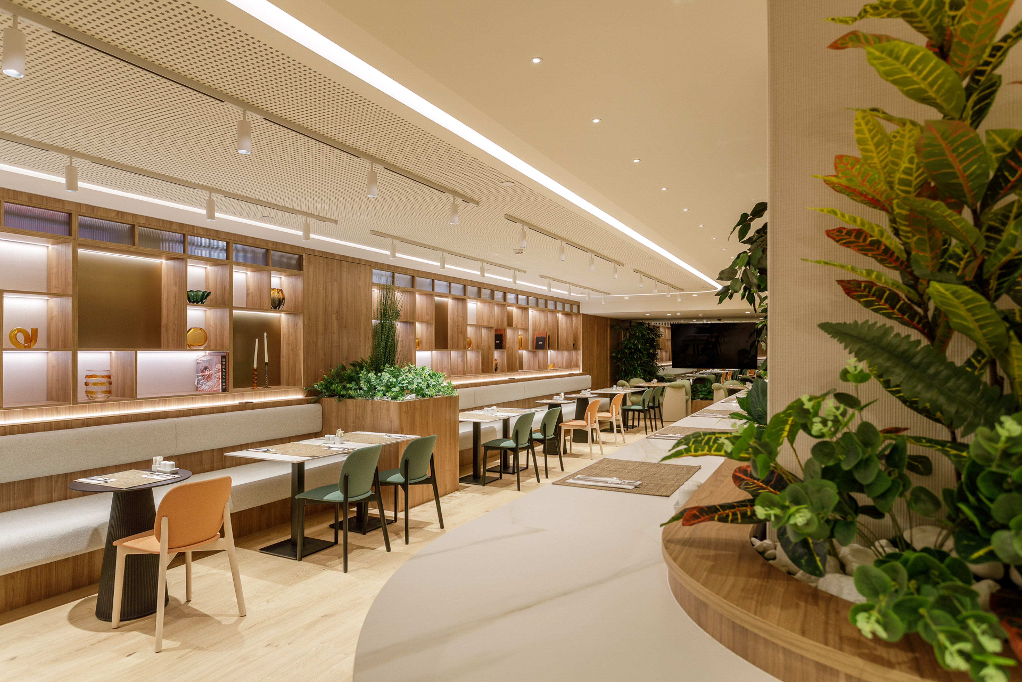 Bright modern restaurant with wooden walls, green plants, and booth seating.