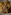 a plate of food on a white plate