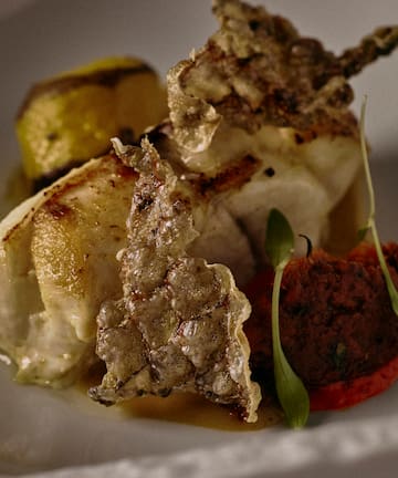 a plate of food on a white plate