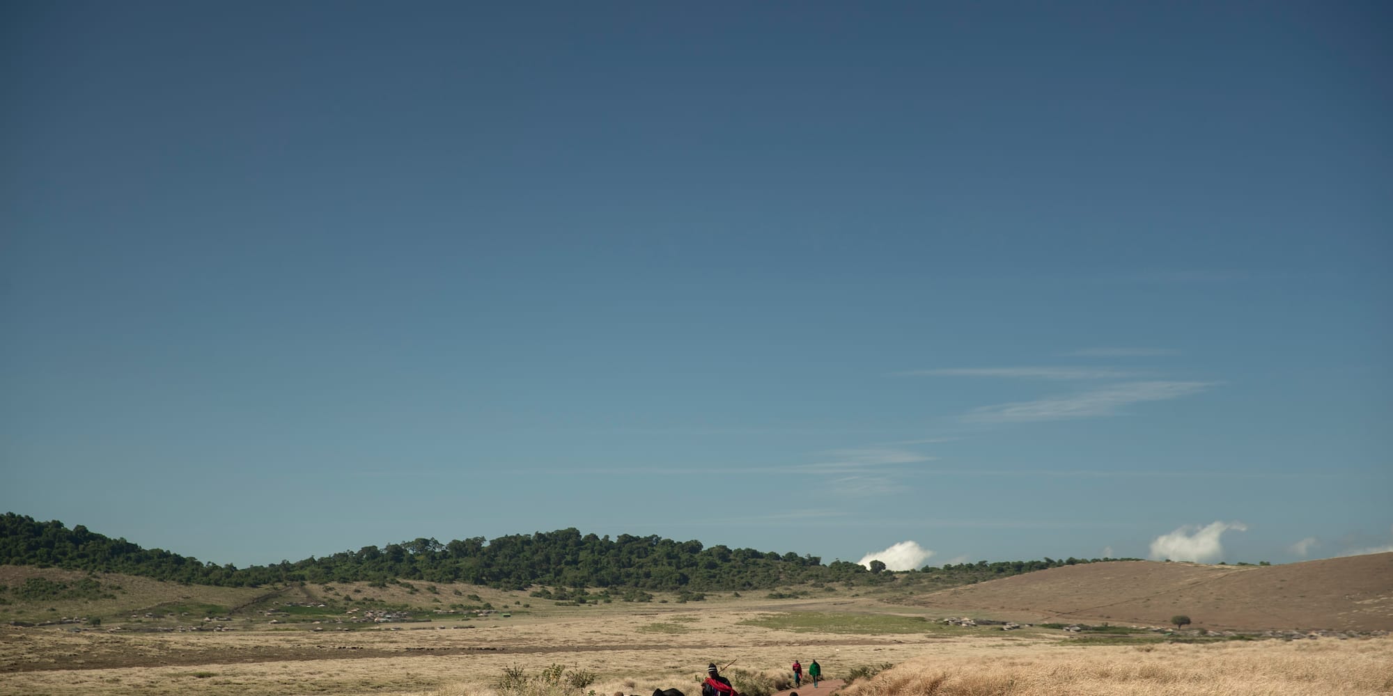 a group of people riding horses on a dirt road