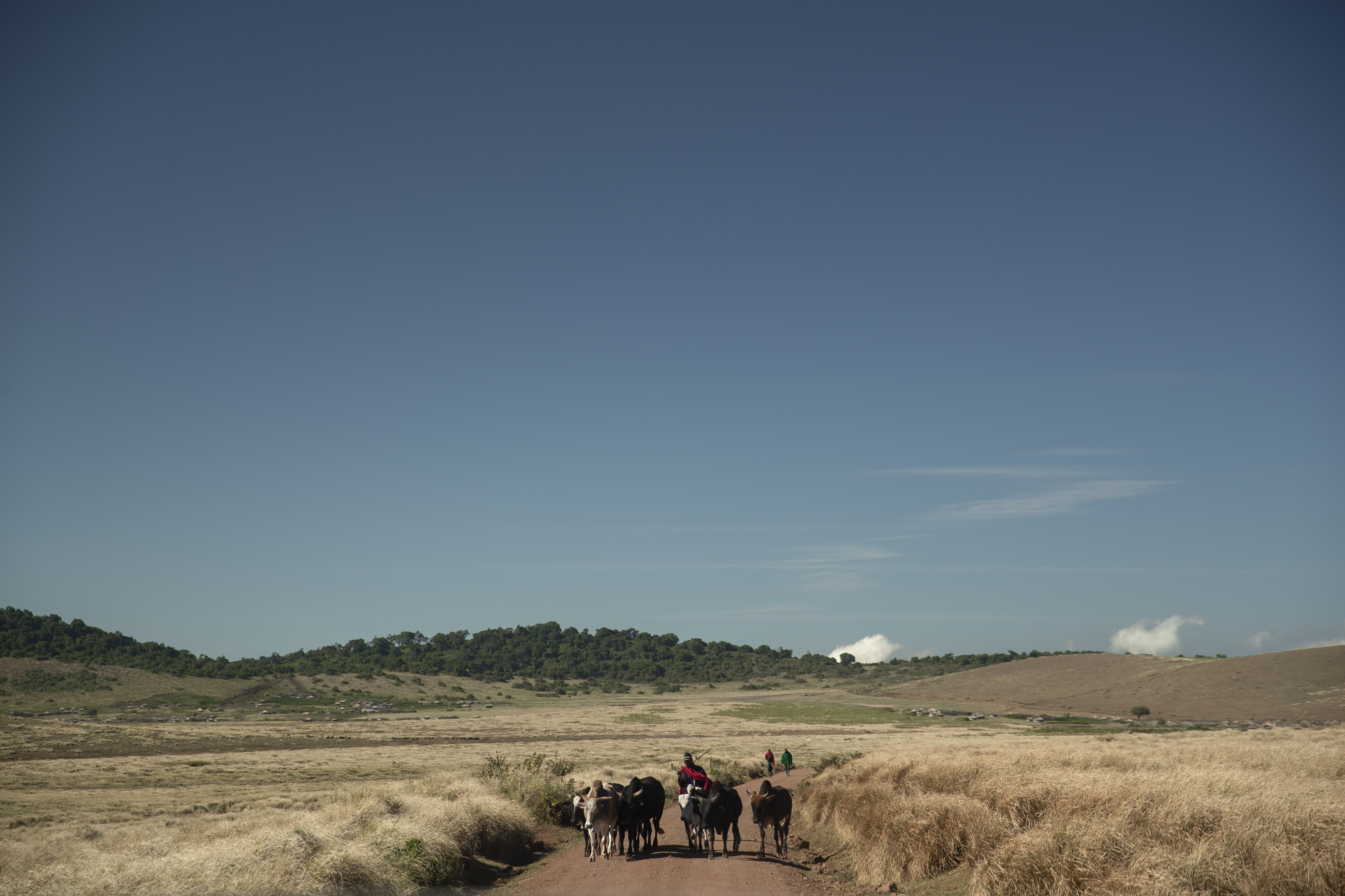a group of people riding horses on a dirt road