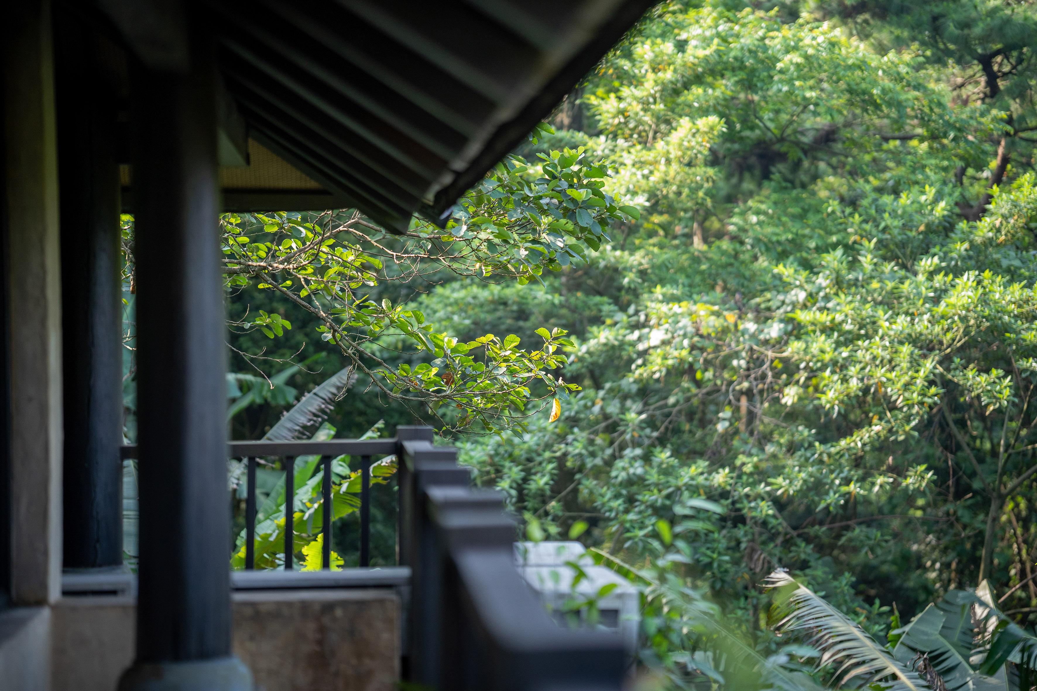 a balcony with trees in the background