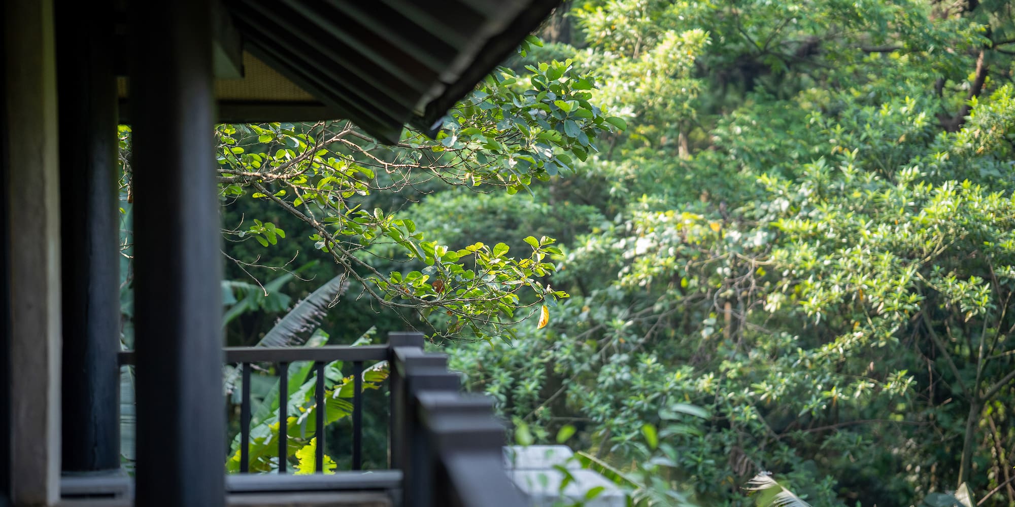 a balcony with trees in the background