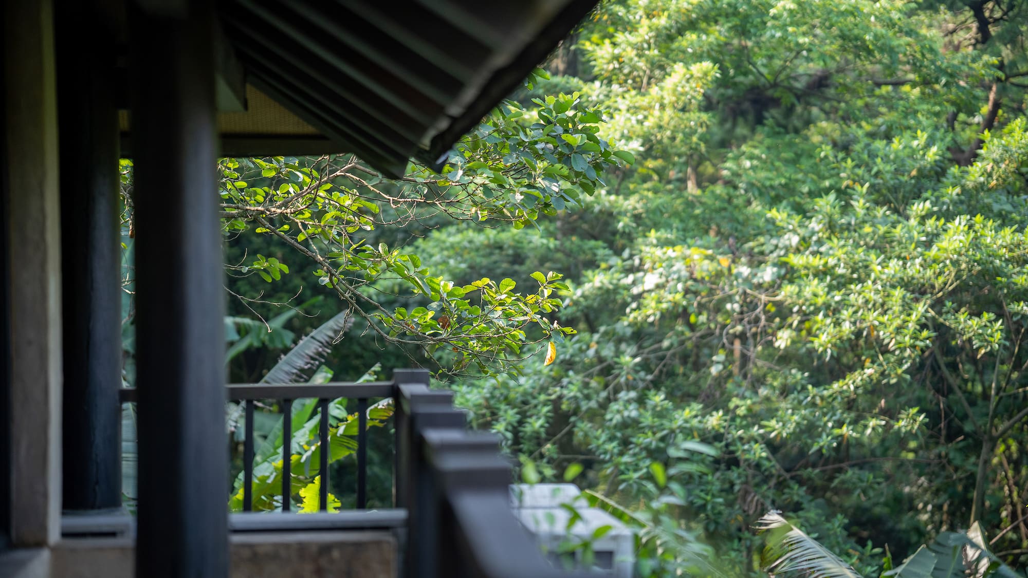 a balcony with trees in the background