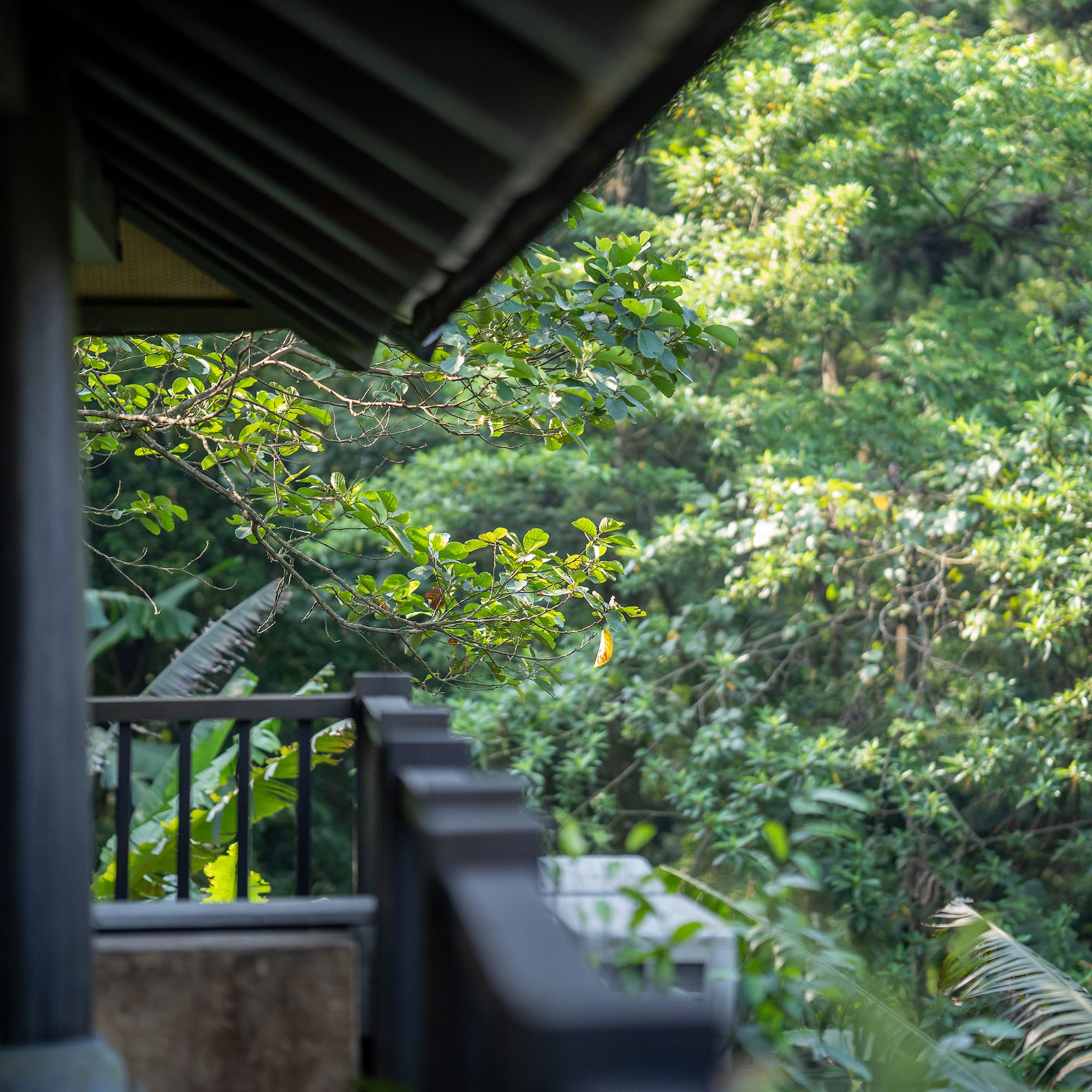 a balcony with trees in the background