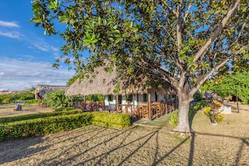 a building with a thatched roof and a tree