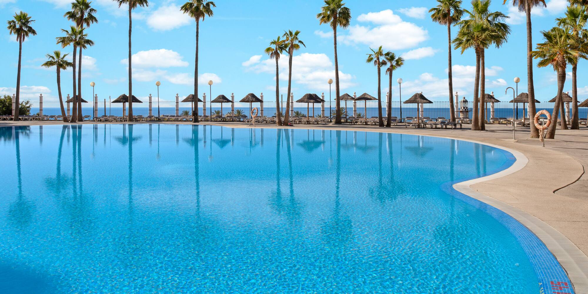 Resort swimming pool with palm trees, ocean, and sunny blue sky.