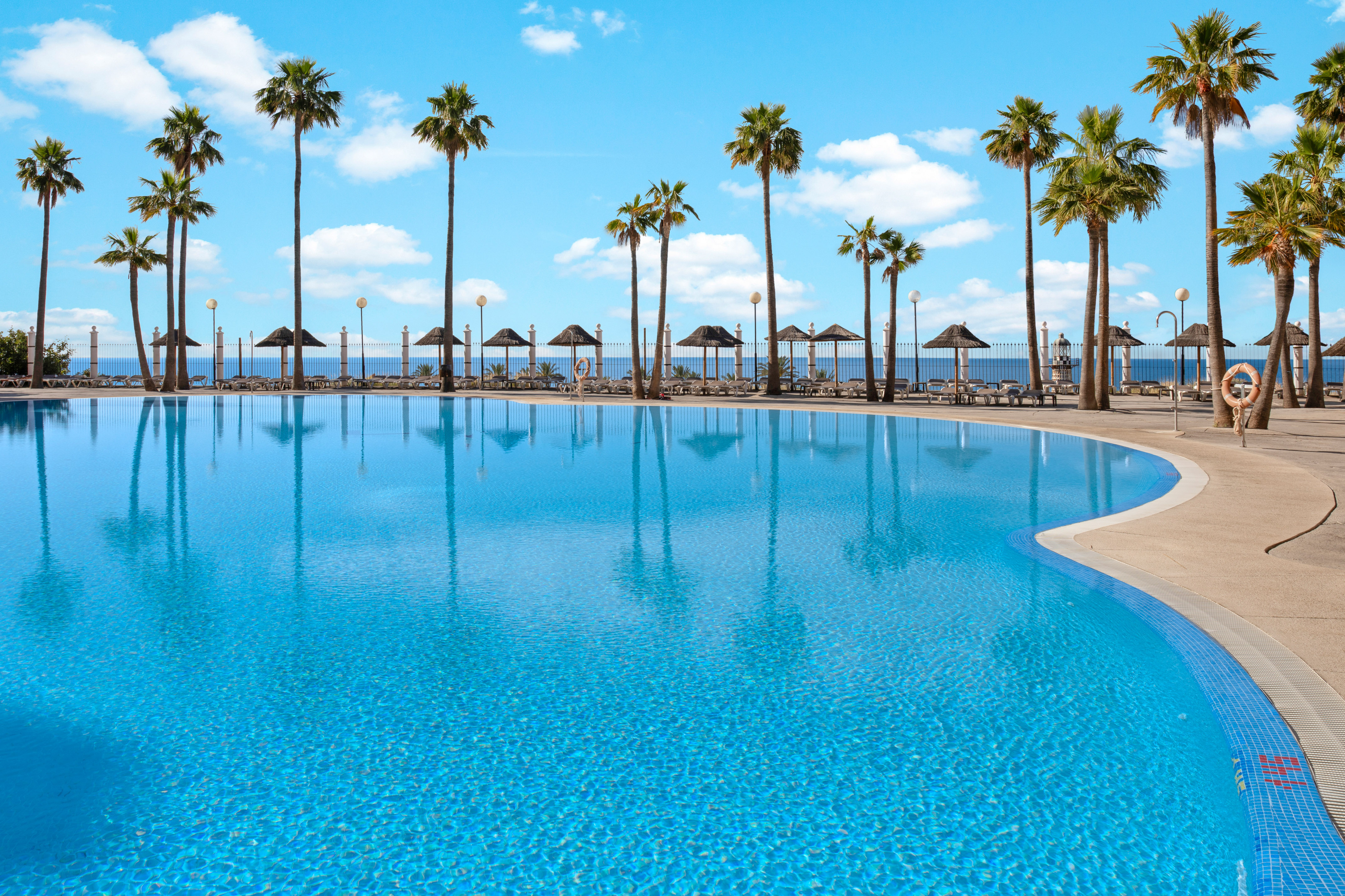 Resort swimming pool with palm trees, ocean, and sunny blue sky.