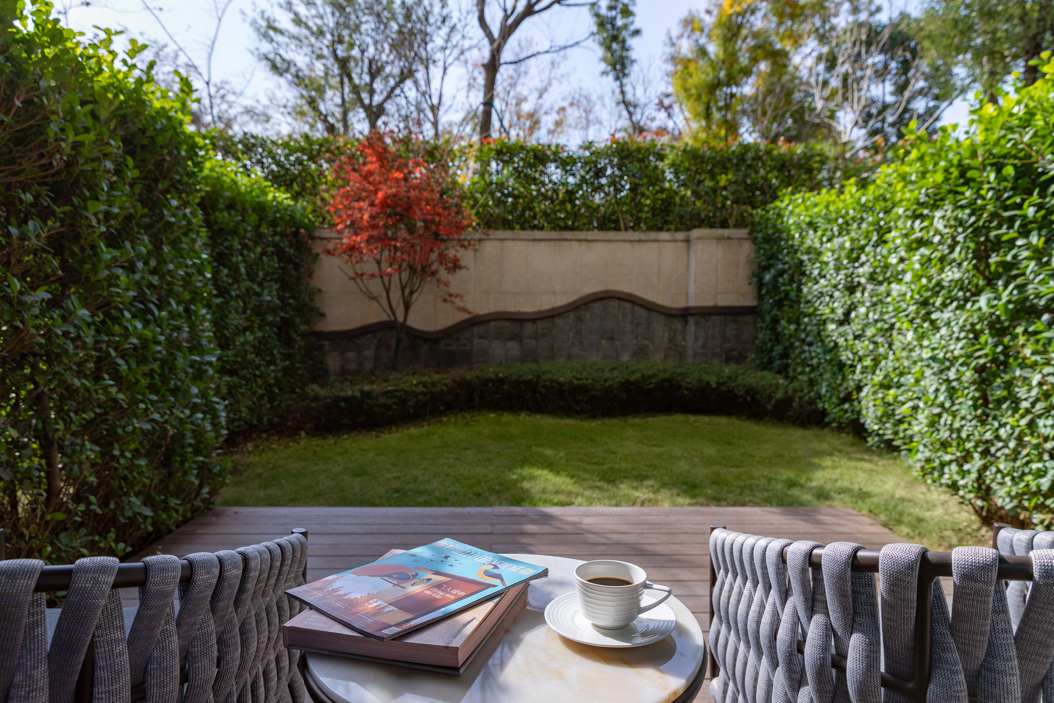 Backyard patio with coffee, magazines, red tree, green hedges and lawn.