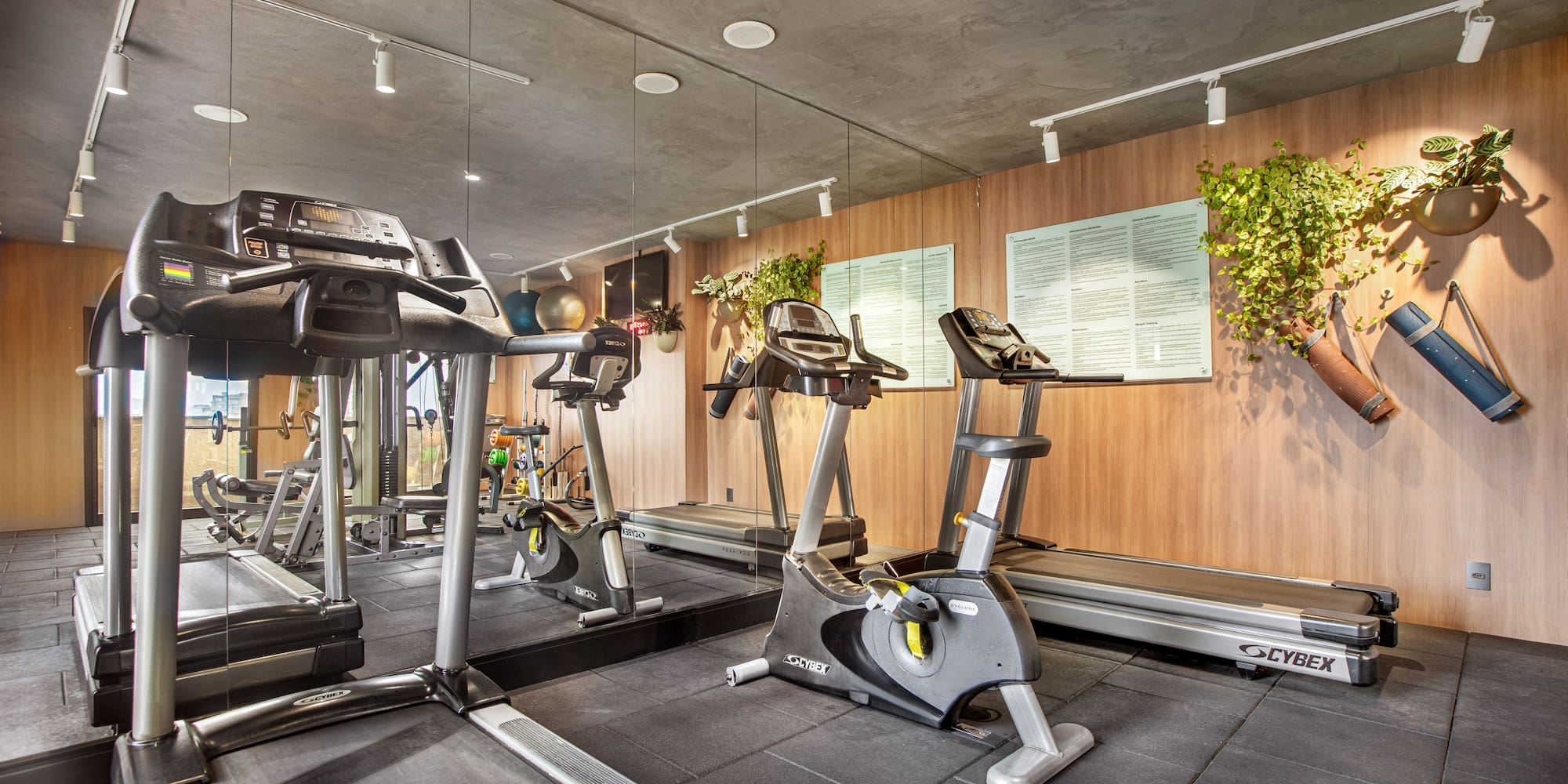 a gym with treadmills and exercise machines