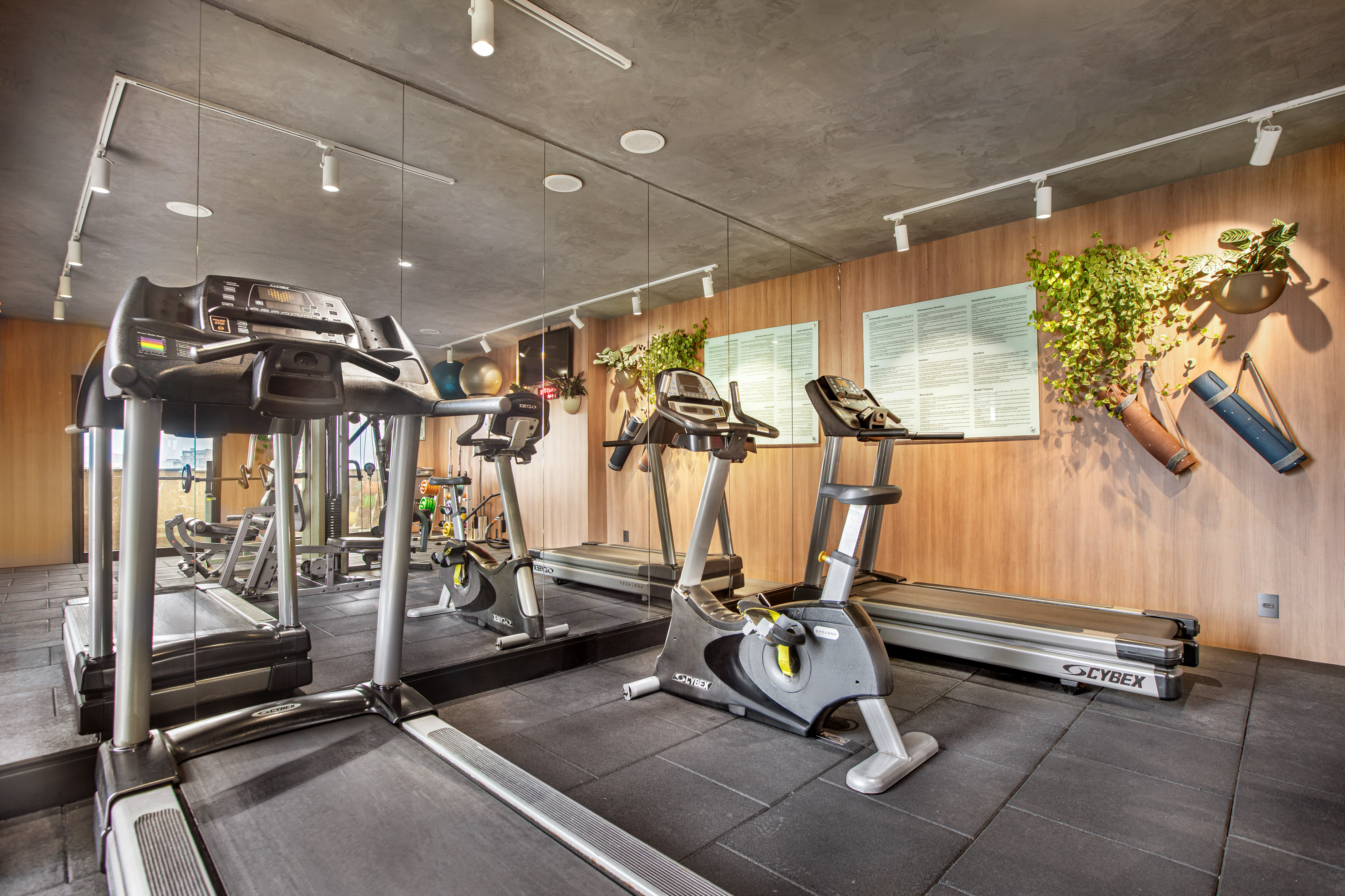 a gym with treadmills and exercise machines