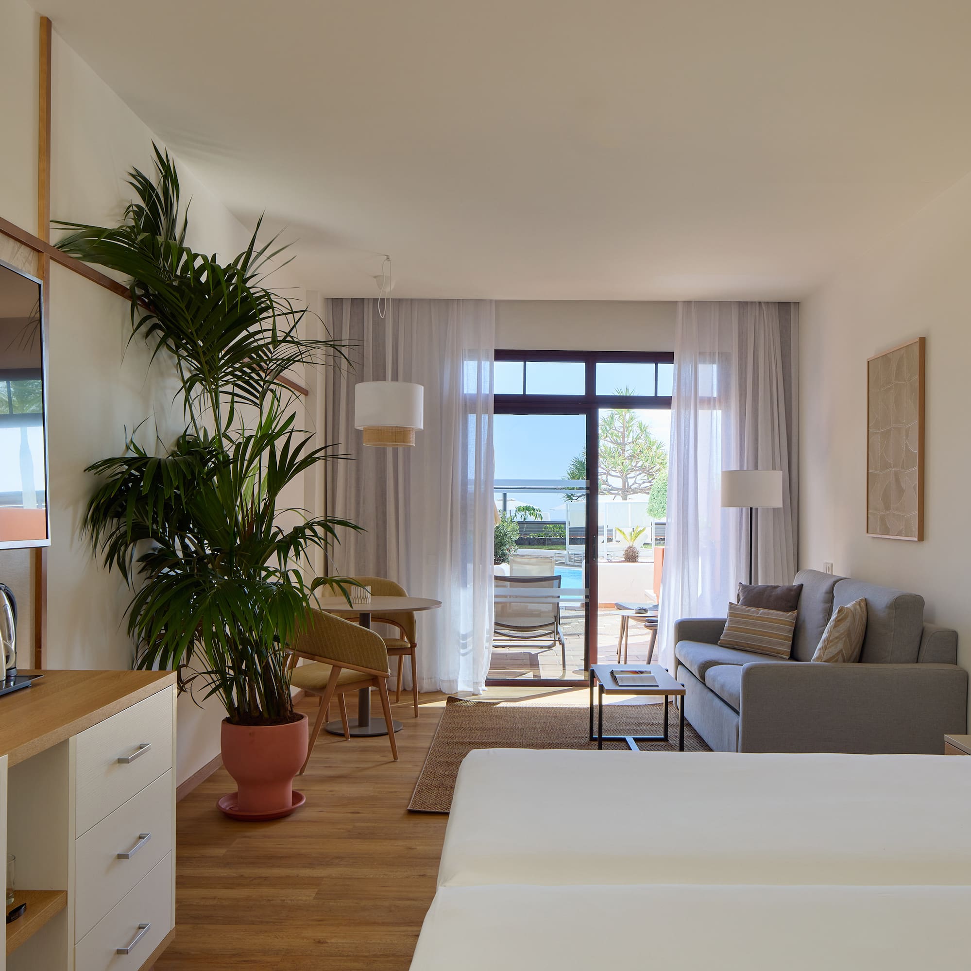 a room with a couch and a plant