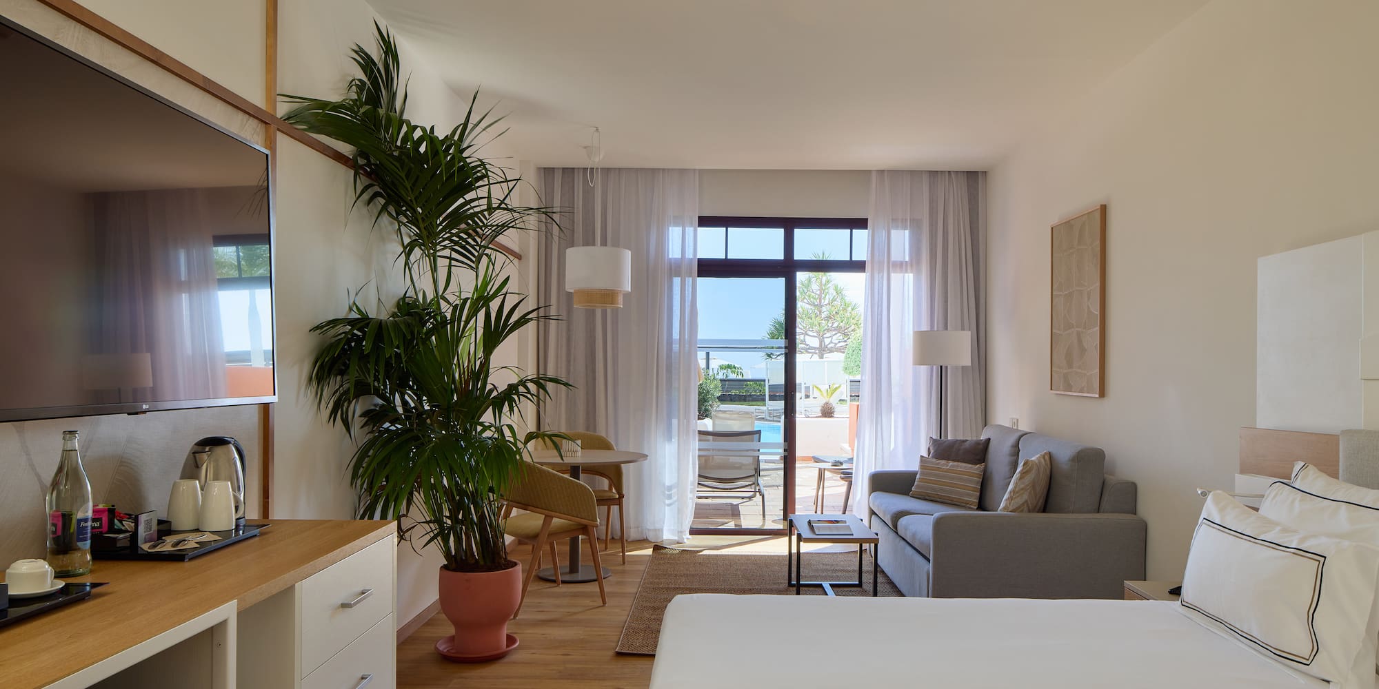 a room with a couch and a plant