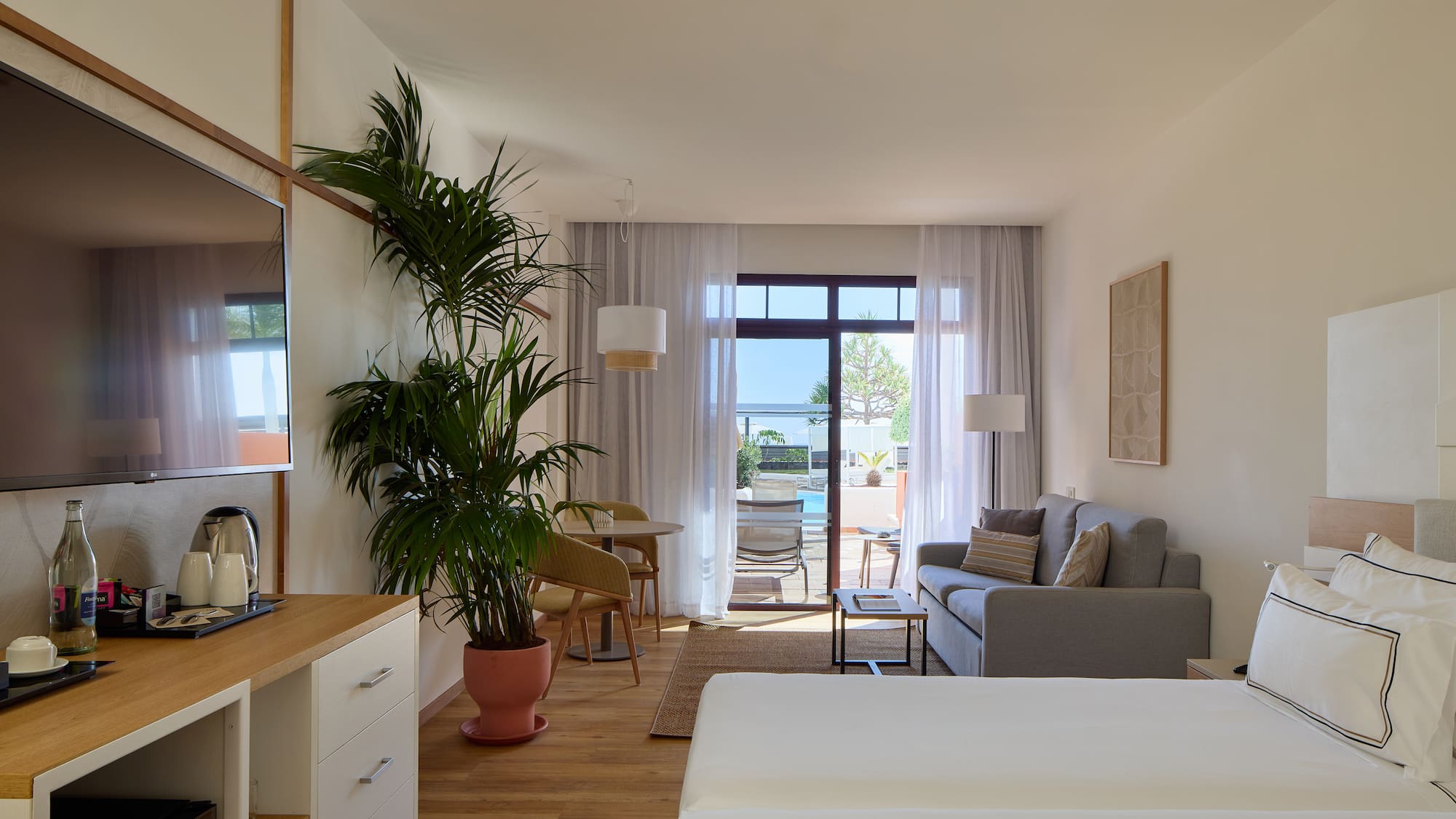 a room with a couch and a plant