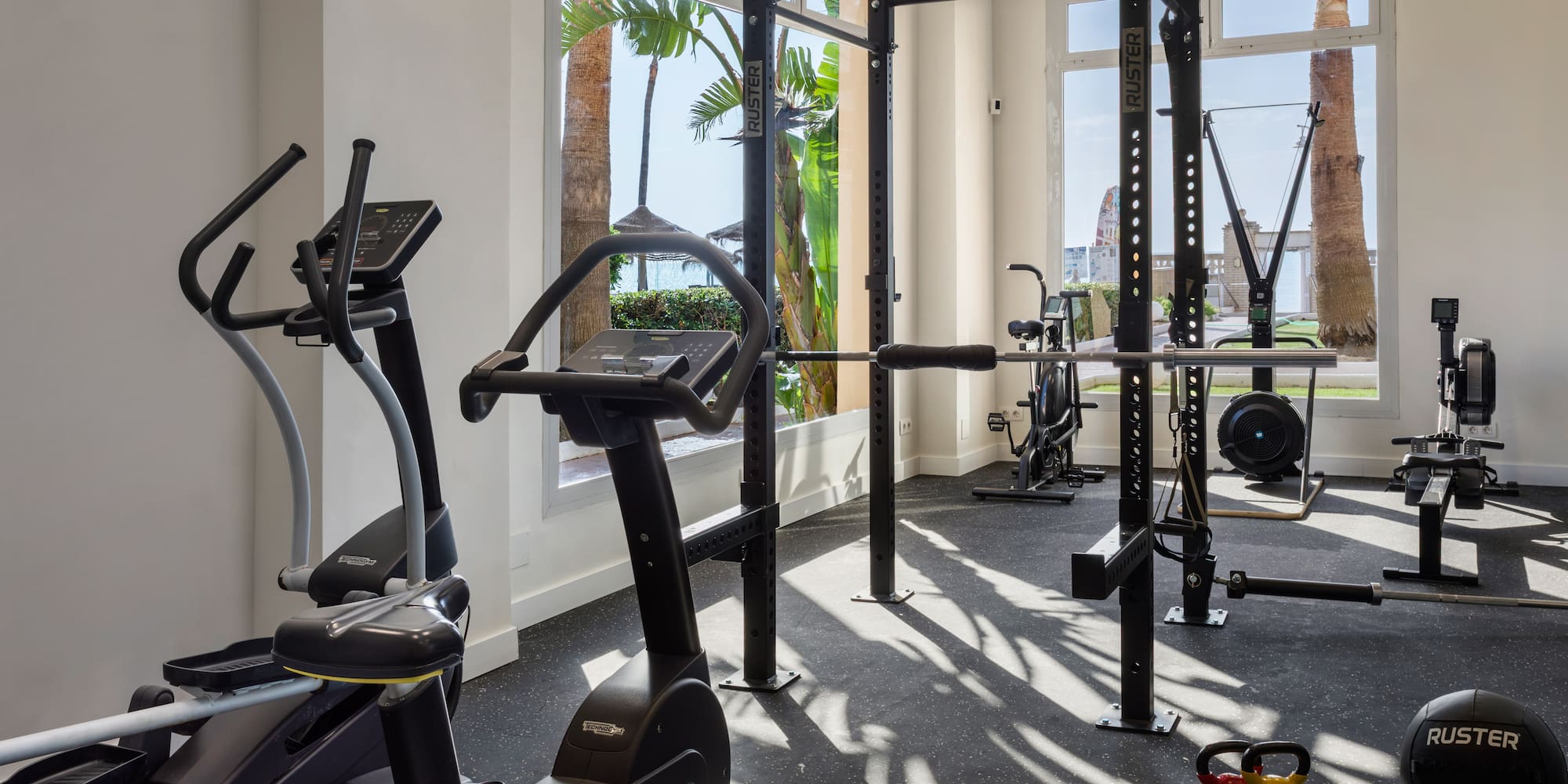 Tropical gym with diverse fitness equipment and sunny window view.