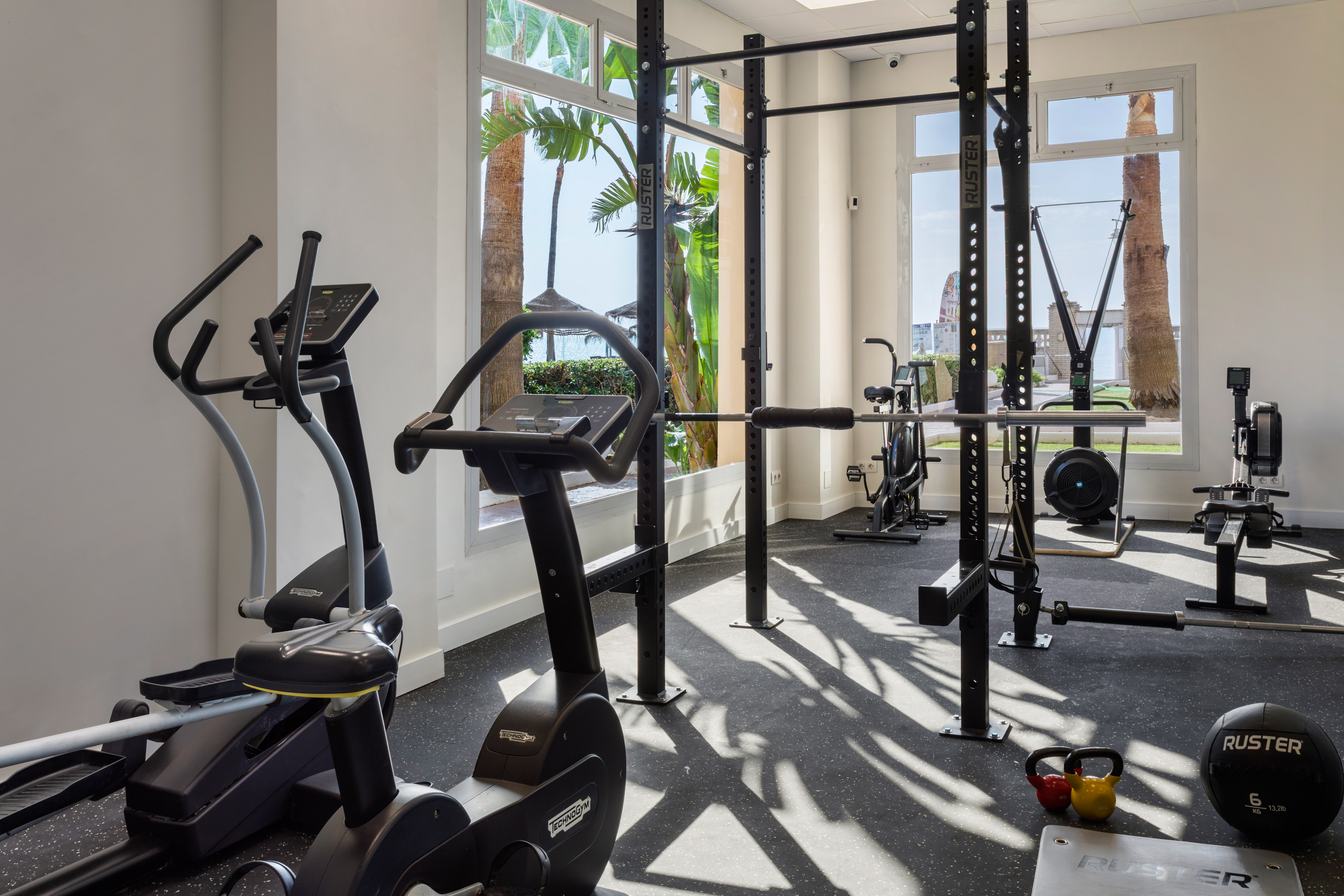 Tropical gym with diverse fitness equipment and sunny window view.