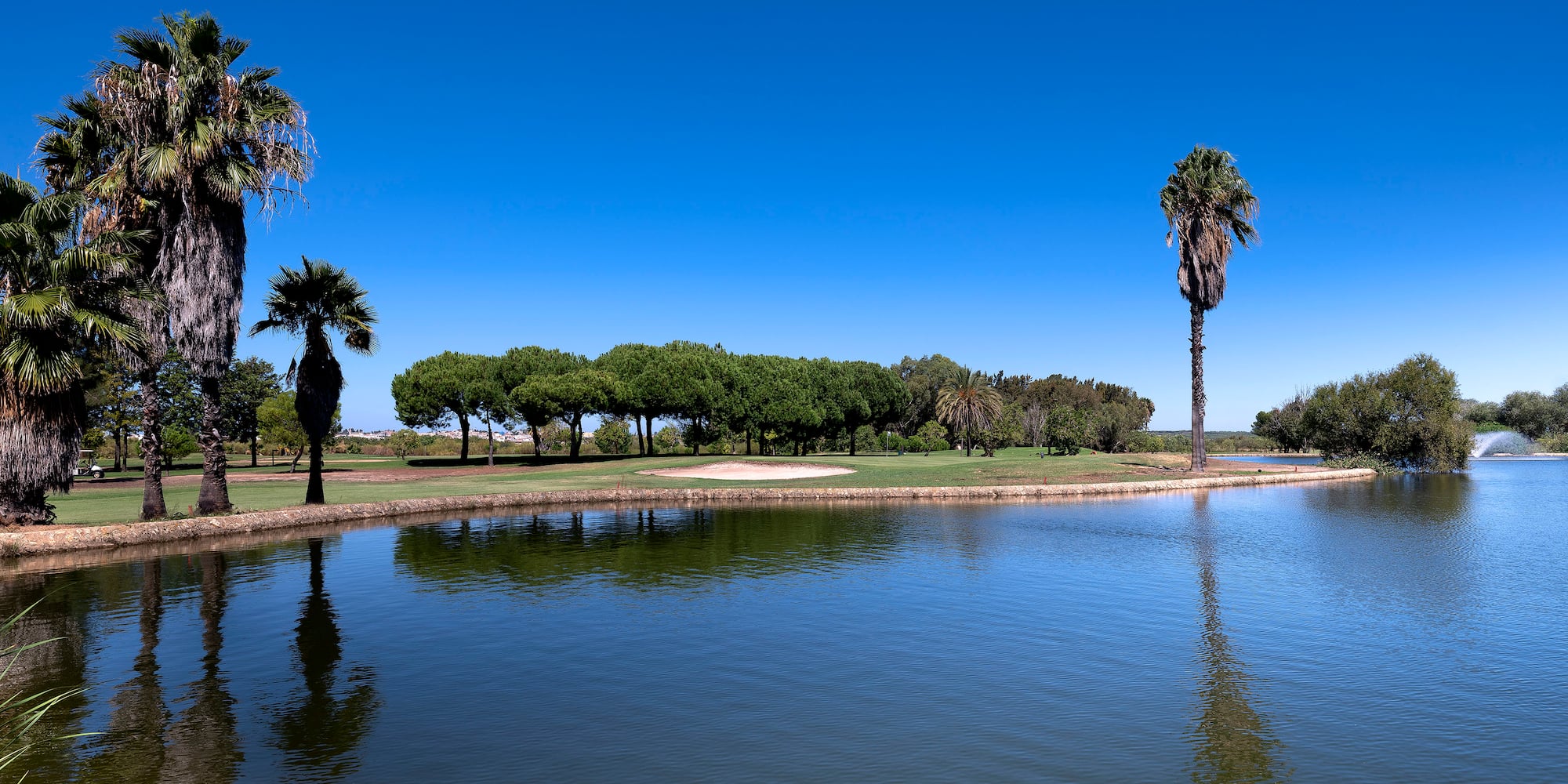 a body of water with palm trees and a blue sky