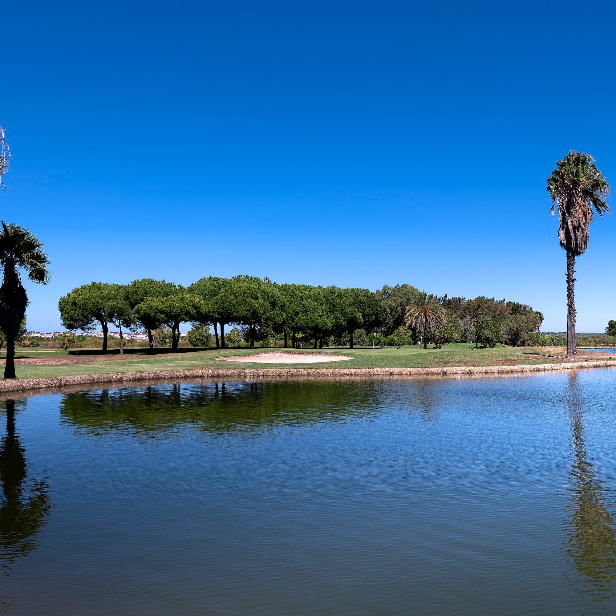 a body of water with palm trees and a blue sky