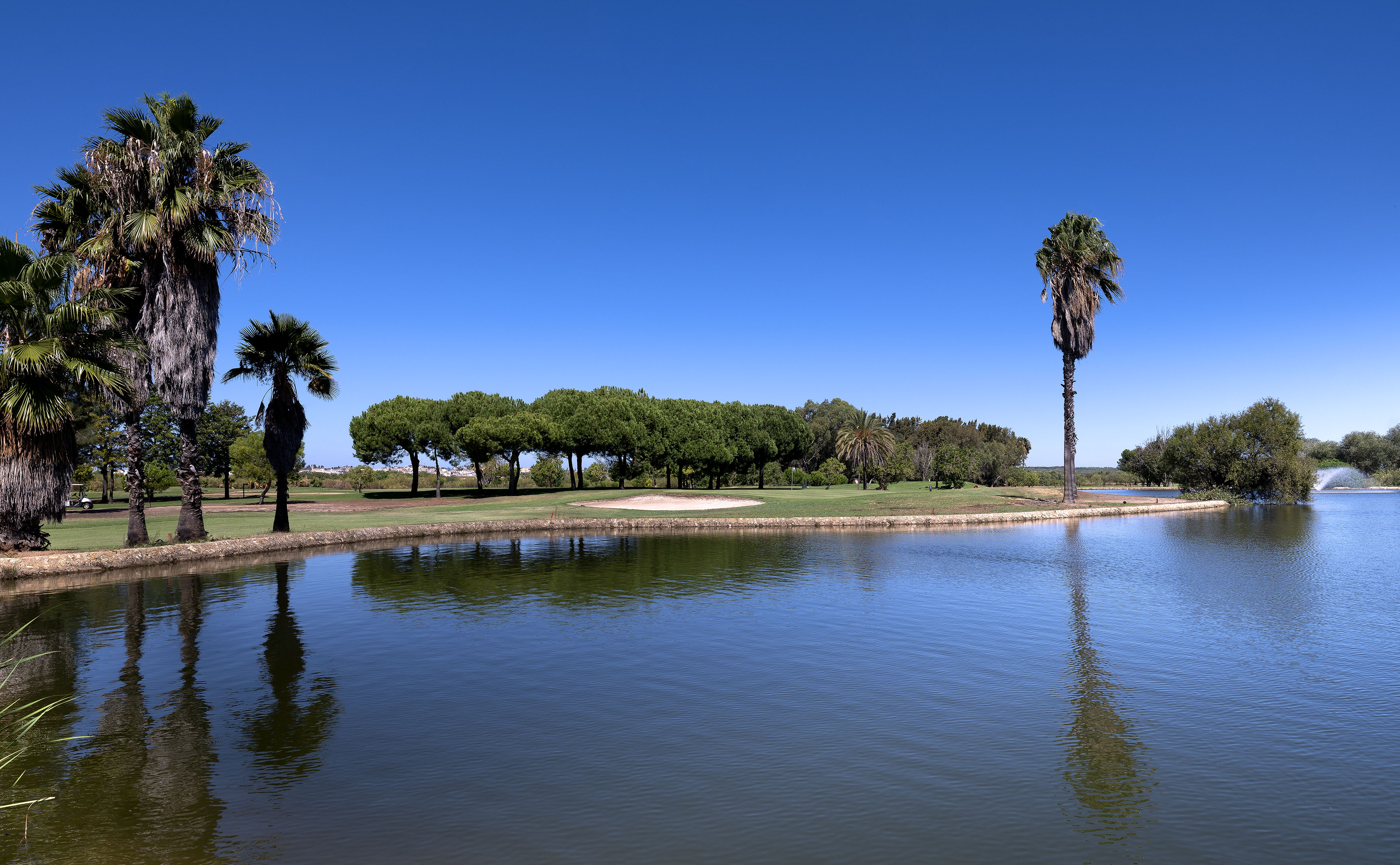 Sunny golf course with lake, palm trees, and sand bunker.