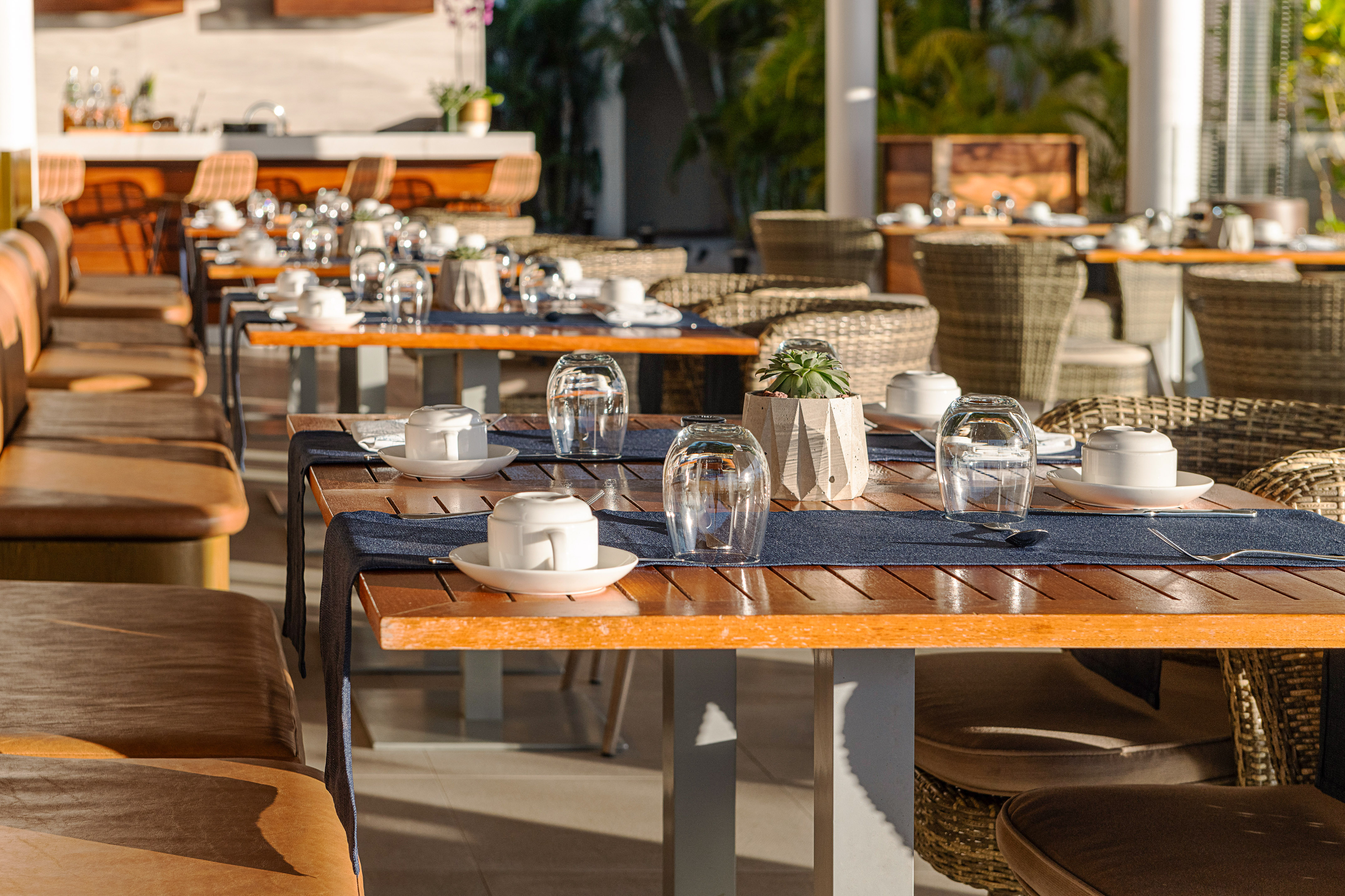 Sunny outdoor dining area with set wooden tables, white crockery, and succulents. - Santé, Cuisine internationale - Paradisus Los Cabos - Adults Only, Los Cabos