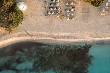 an aerial view of a beach with umbrellas and trees