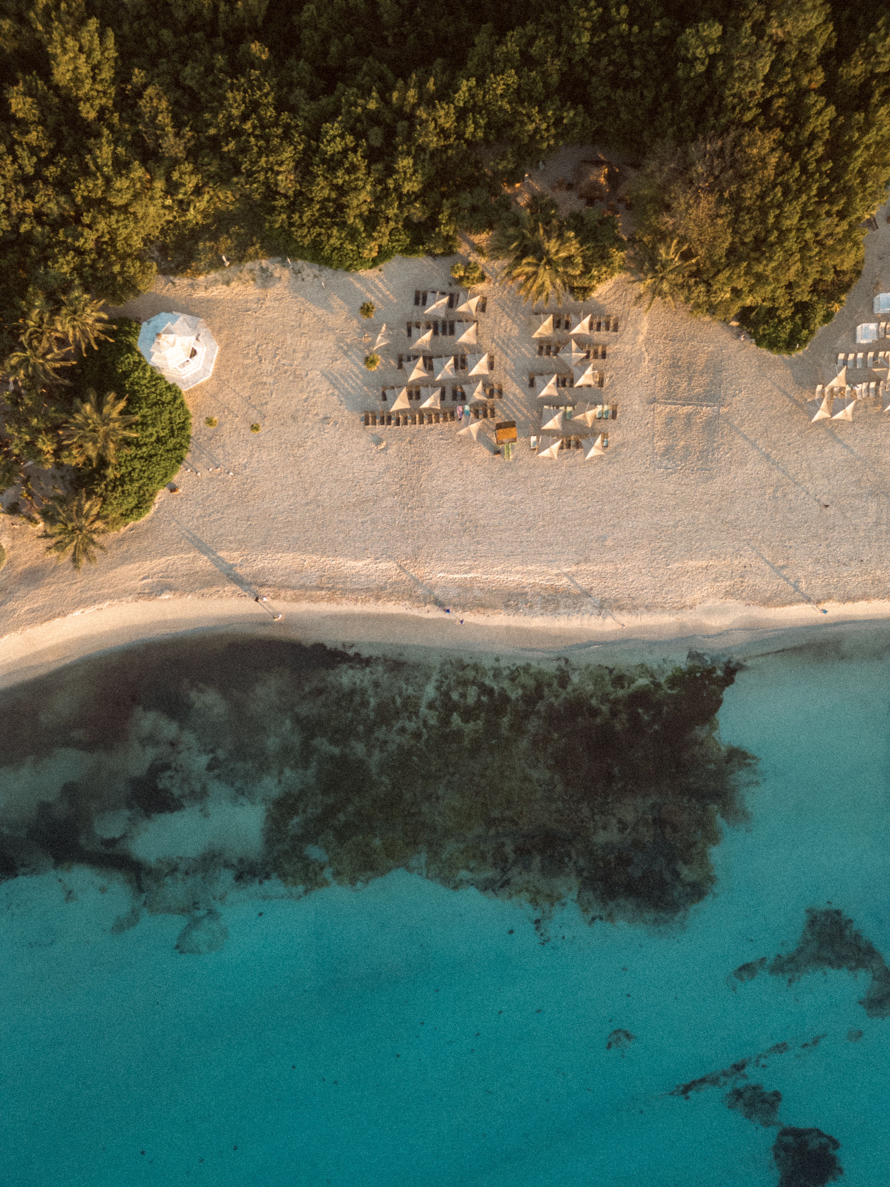 Tropical beach resort, aerial view: sand, umbrellas, palm trees, turquoise sea.