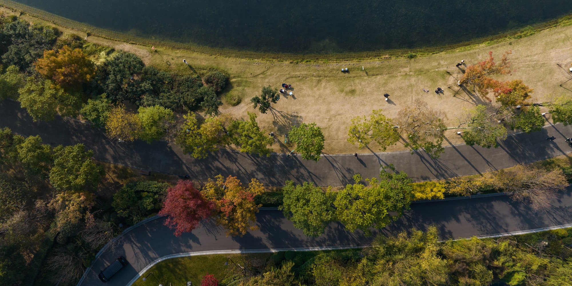 a road and trees by a body of water