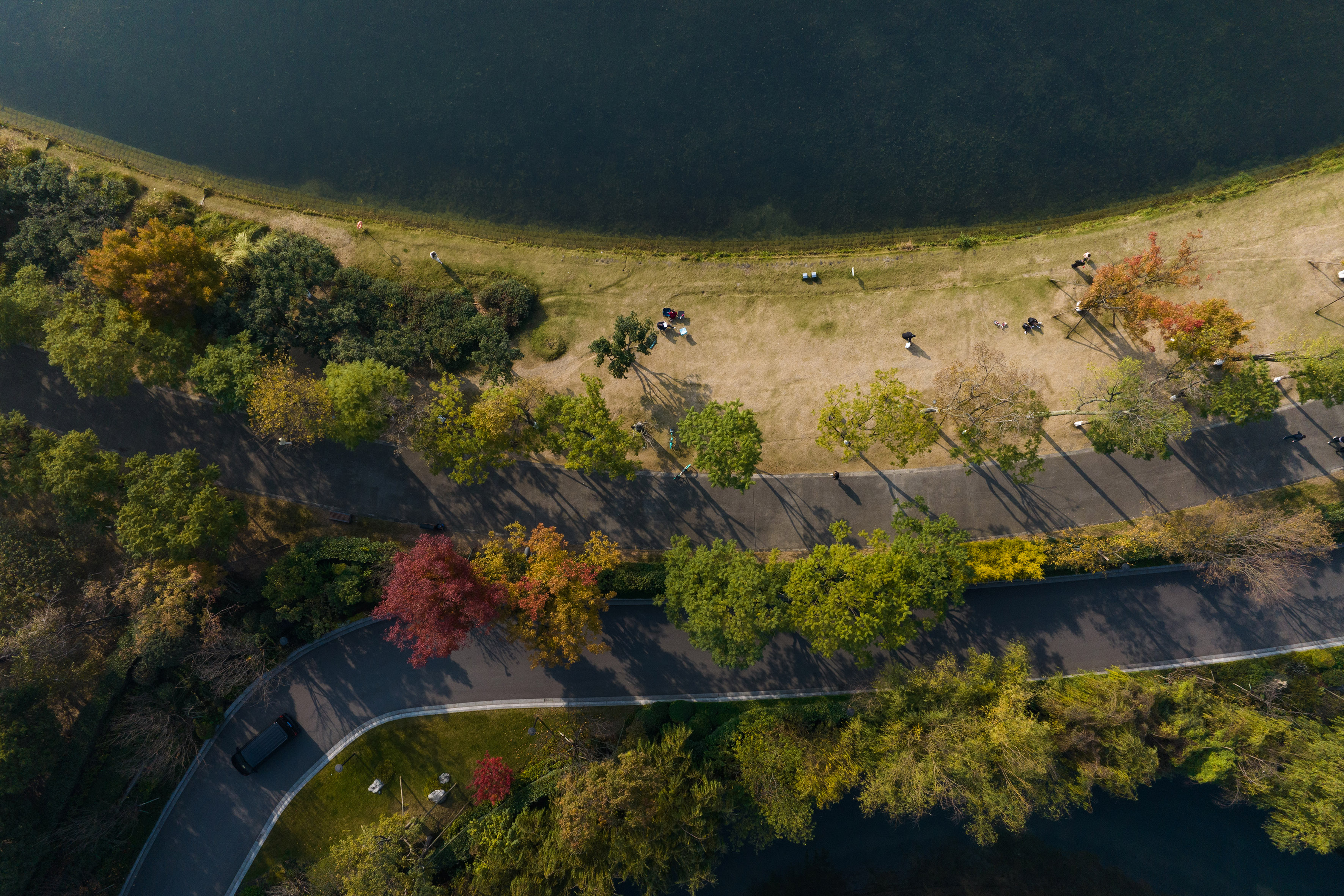 Aerial view of a park with a lake, winding road, colorful autumn trees, and people.