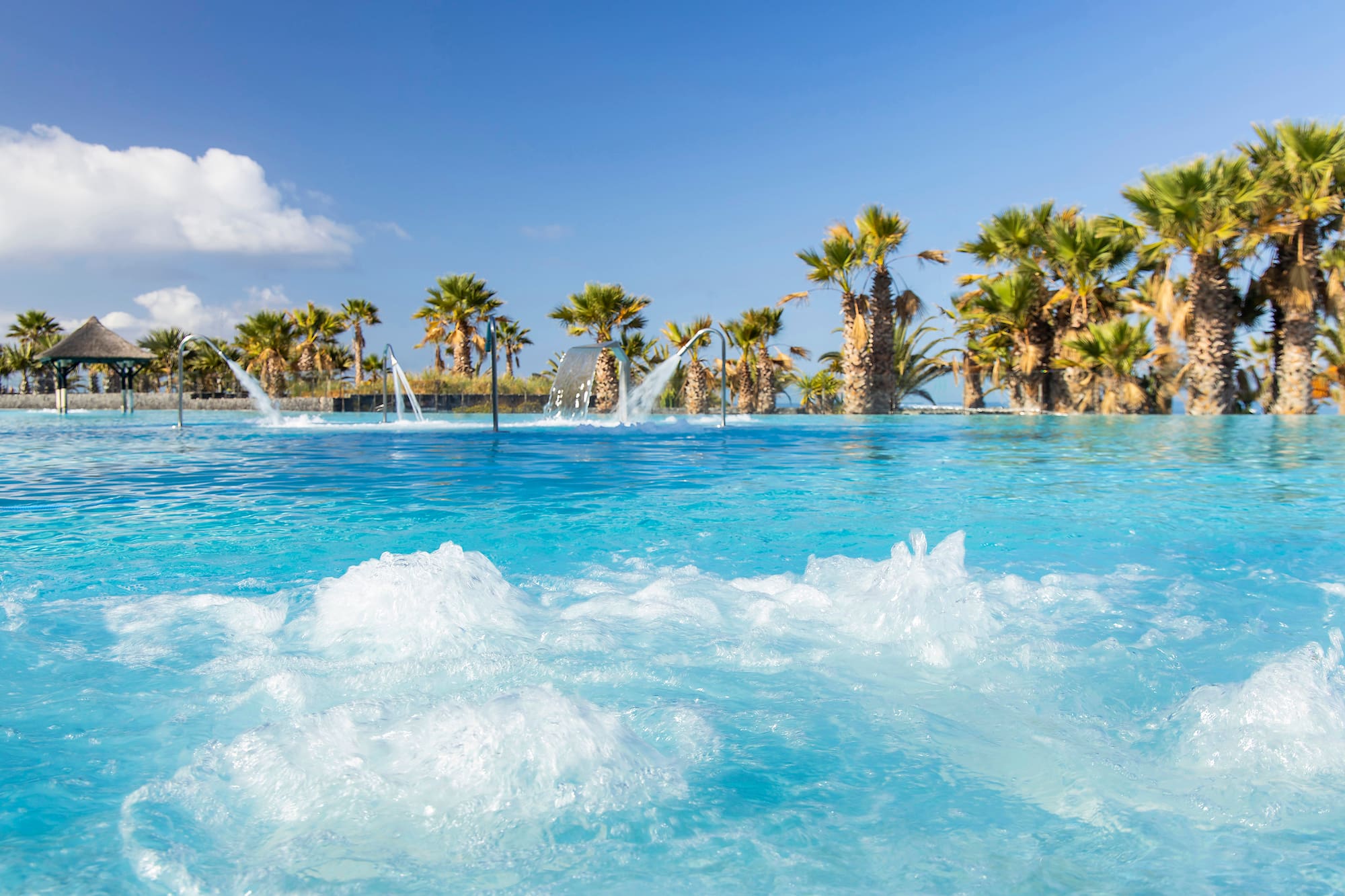 Tropical pool with bubbling spa jets, palm trees, and blue sky.