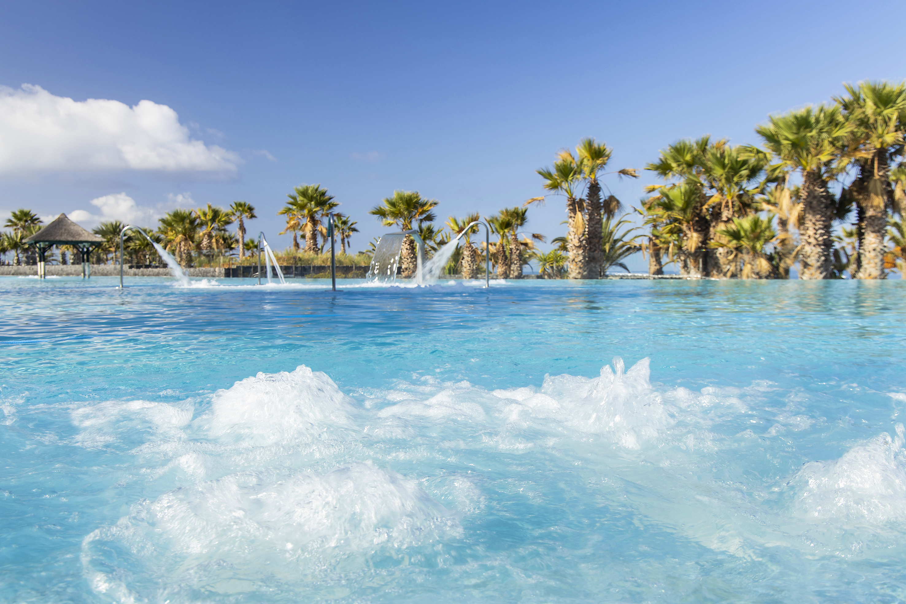 Tropical pool with bubbling spa jets, palm trees, and blue sky.