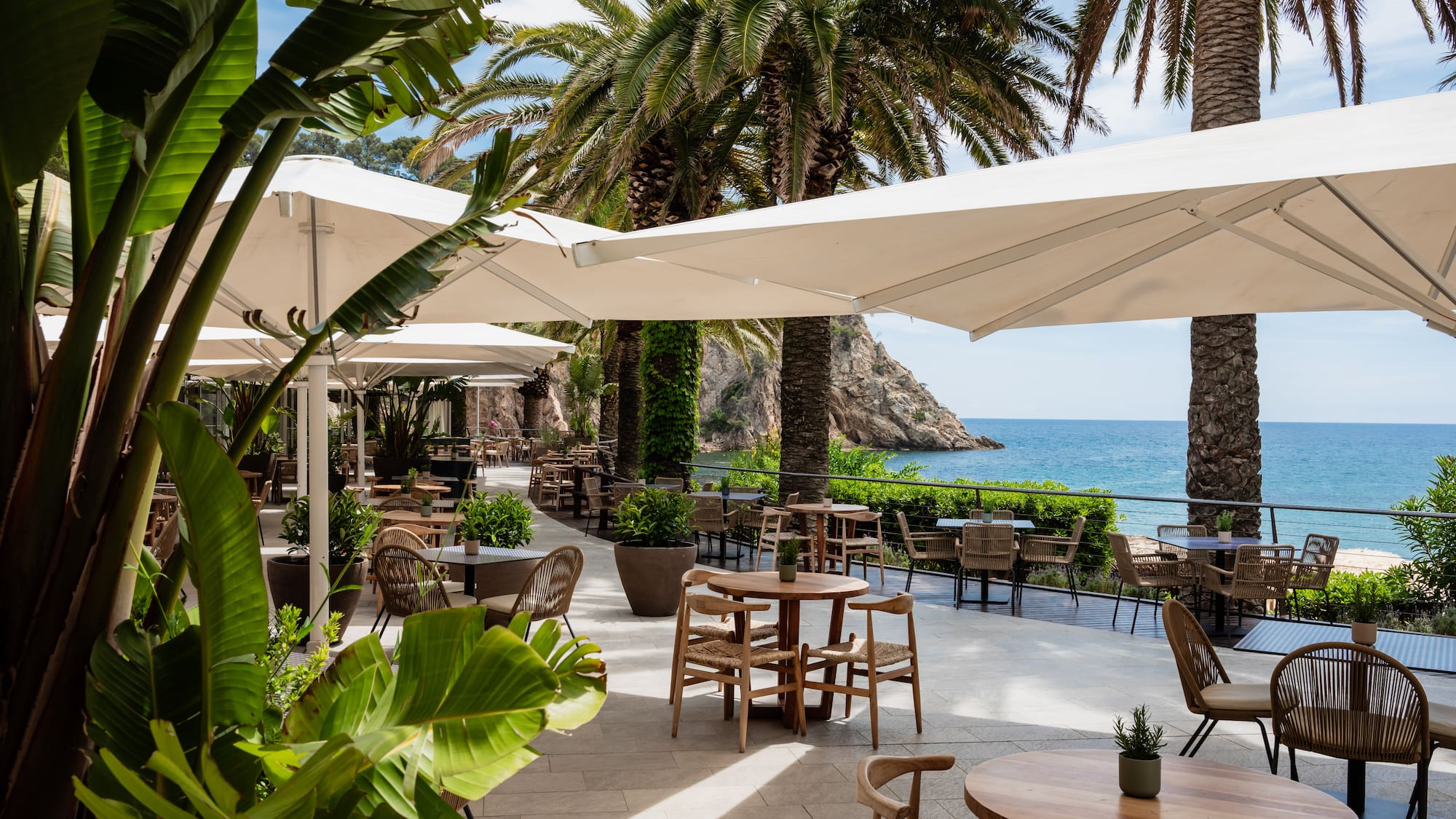 a patio with tables and chairs and umbrellas and palm trees