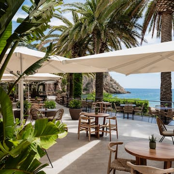 a patio with tables and chairs and umbrellas and palm trees