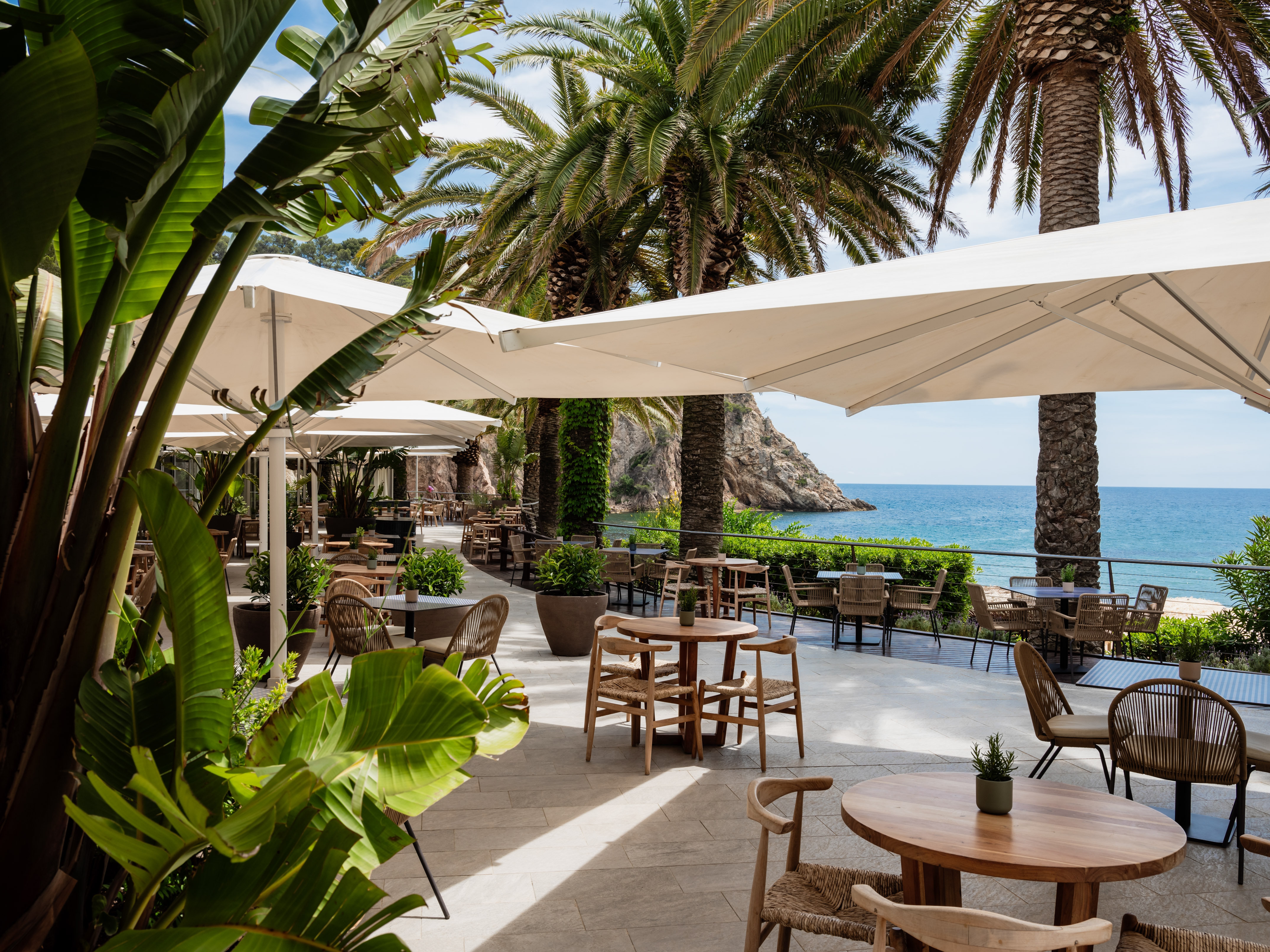 Tropical patio restaurant with ocean view, palm trees, and outdoor dining tables.