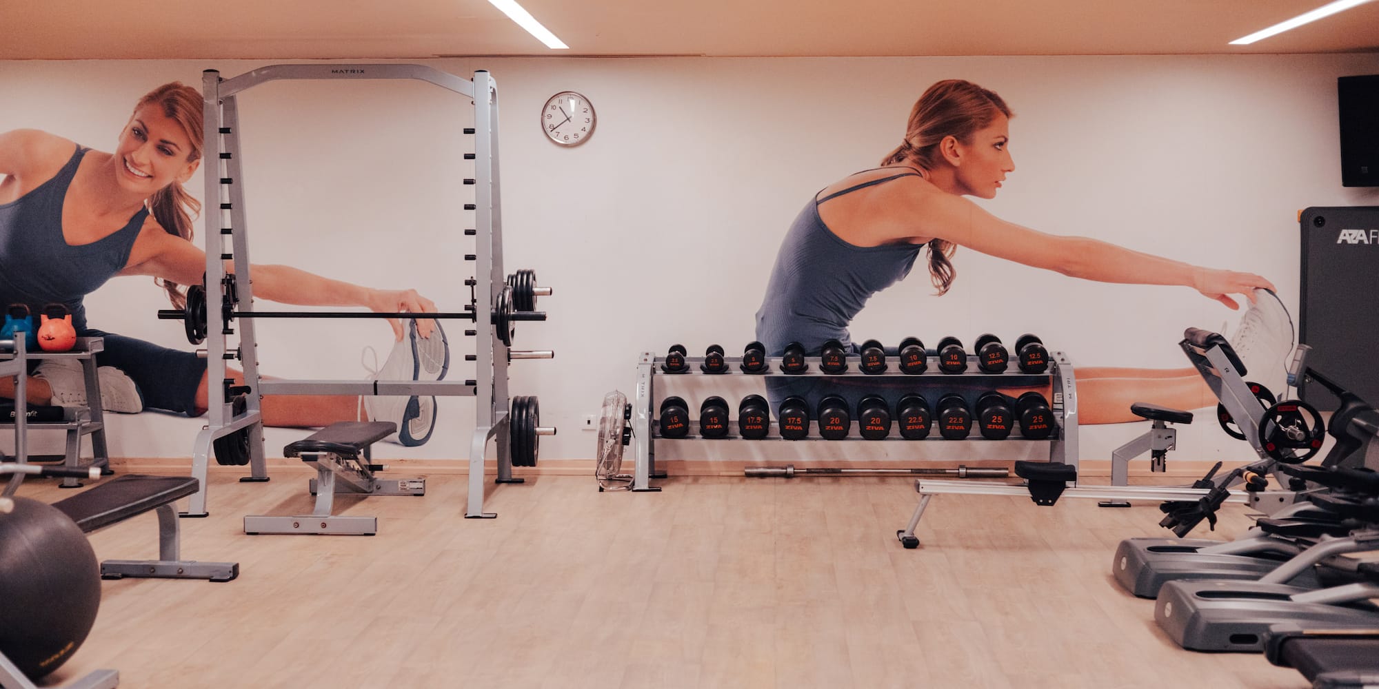 Gym with squat rack, dumbbells, rowing machine, and mural of woman stretching.