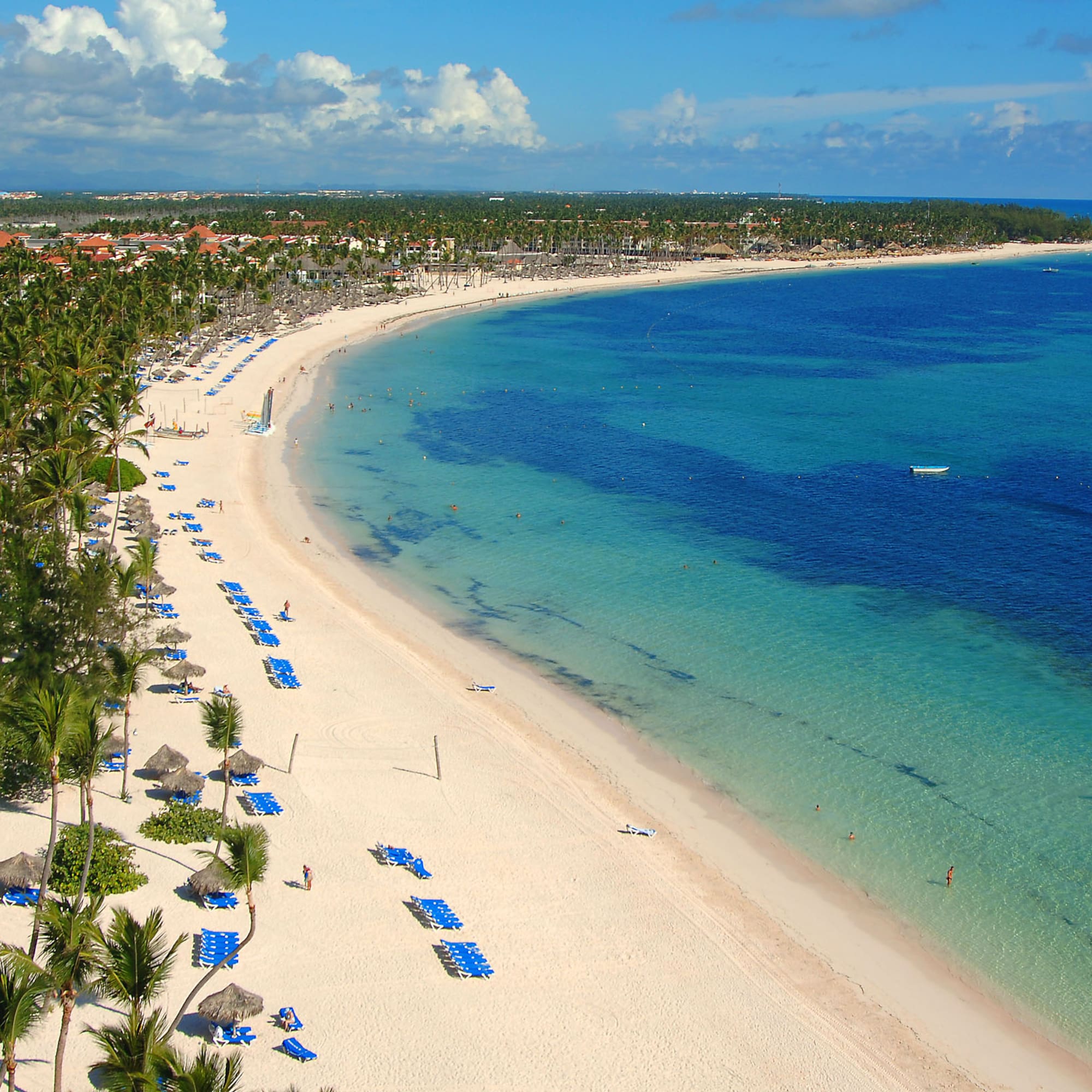 a beach with palm trees and blue water